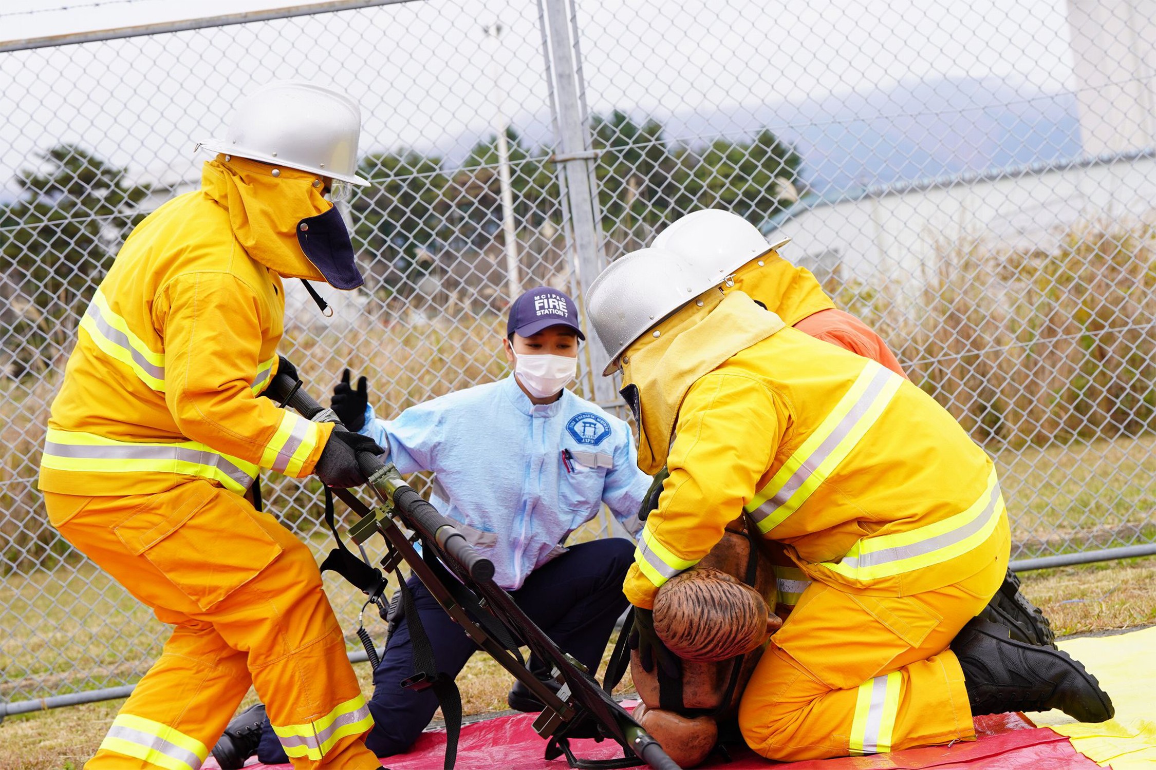 セクション画像