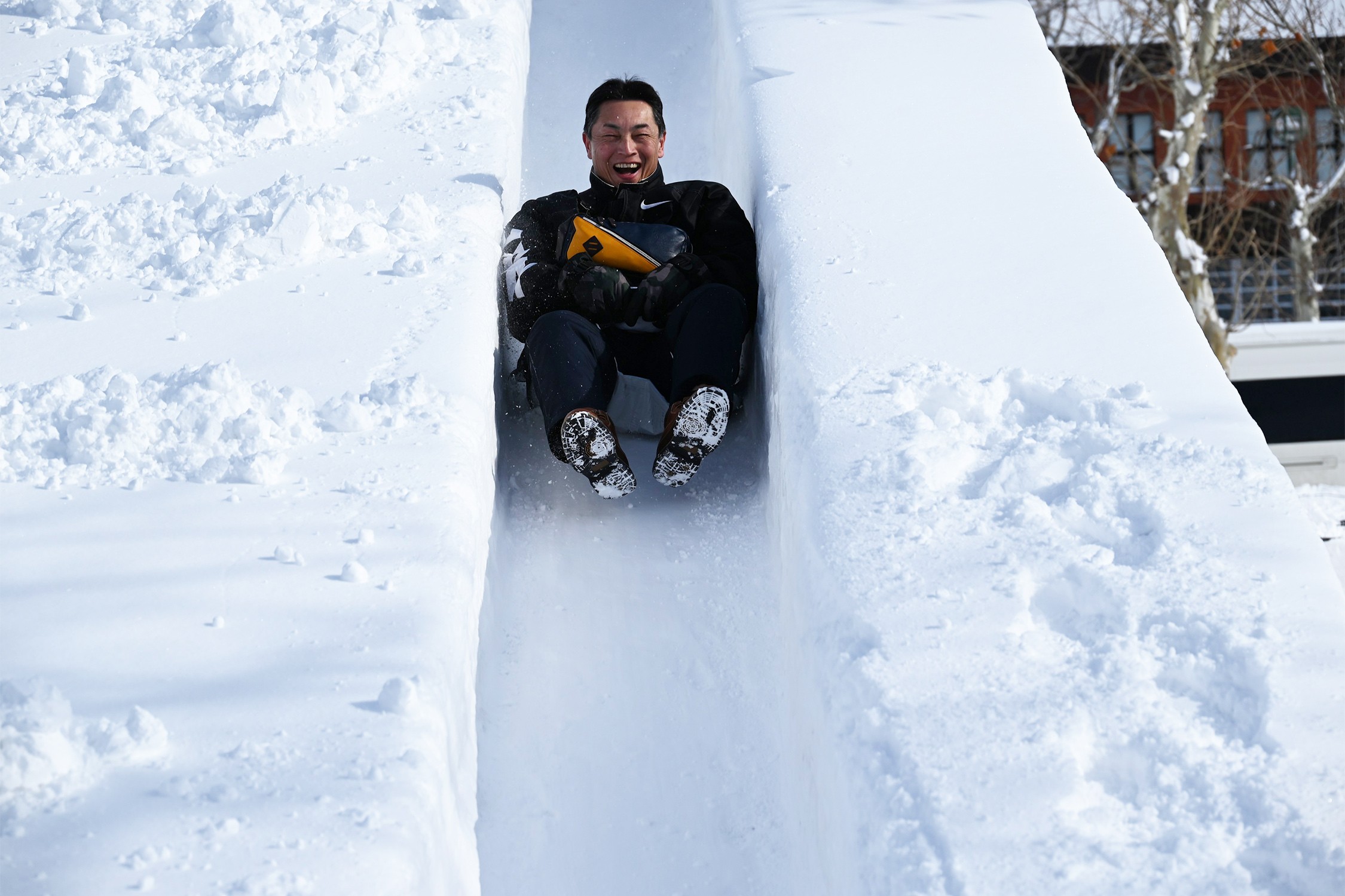 セクション画像