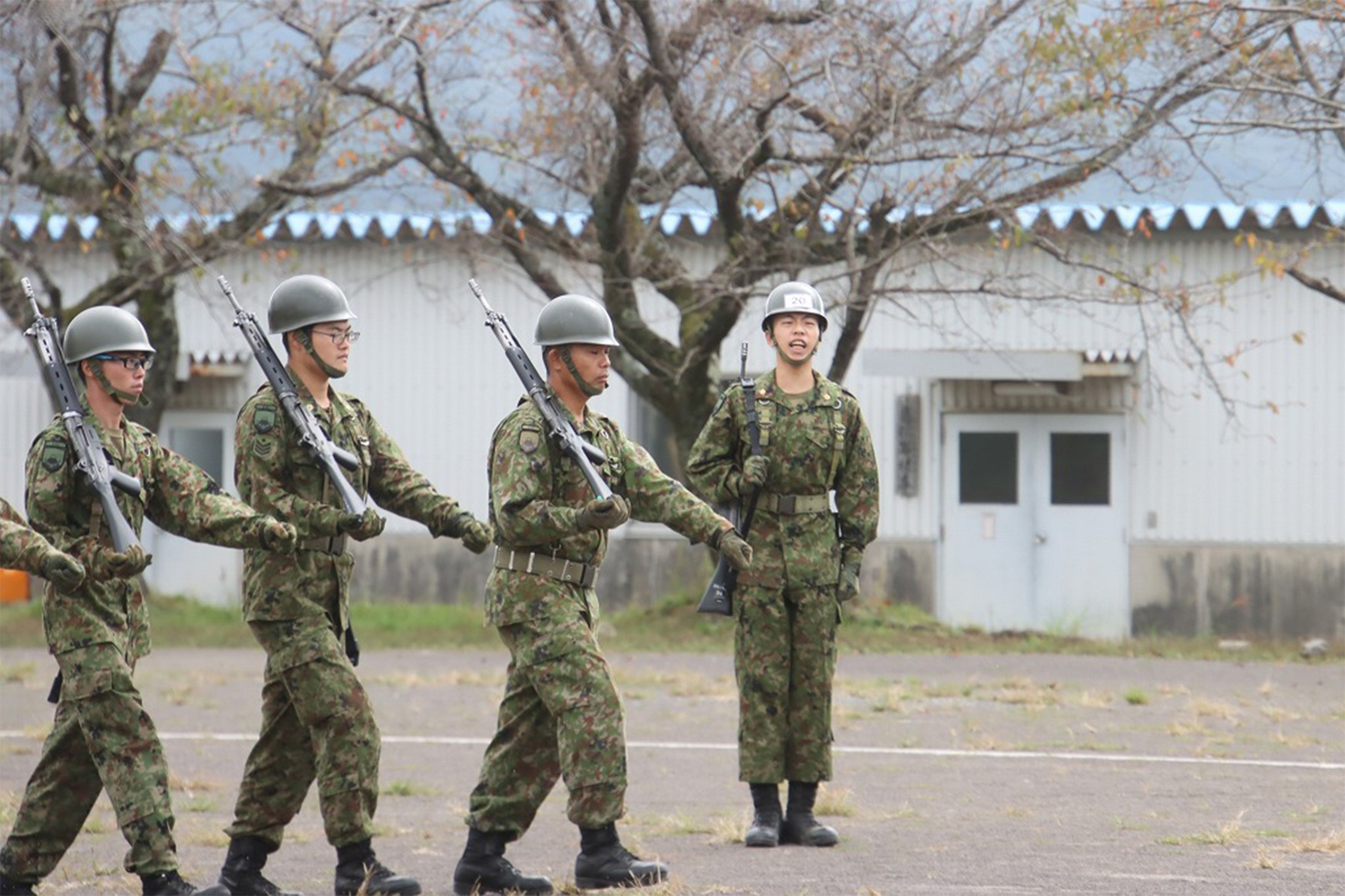セクション画像