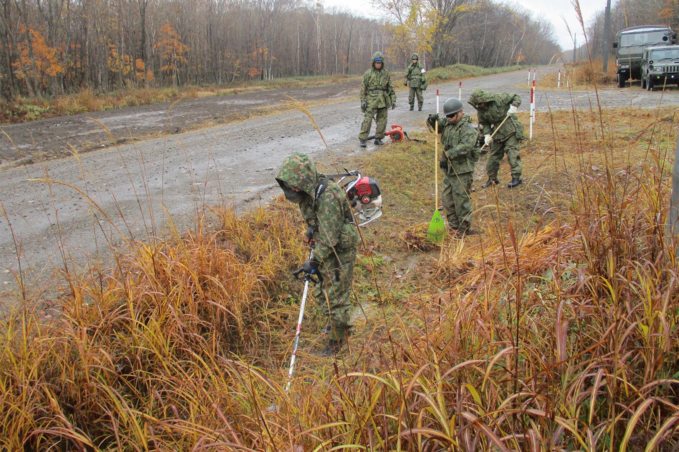 セクション画像
