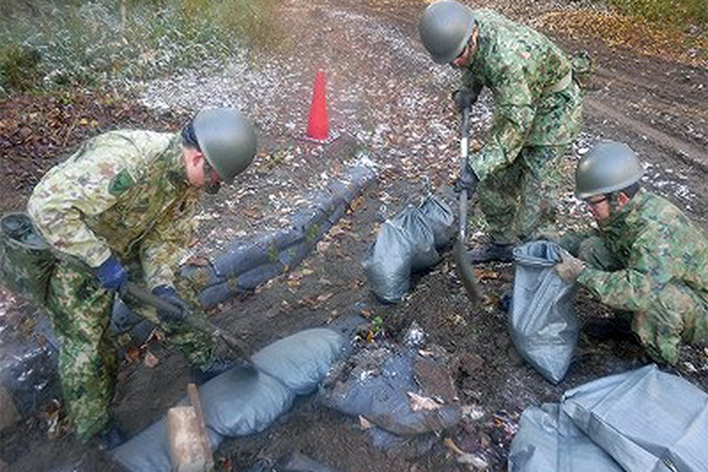 セクション画像