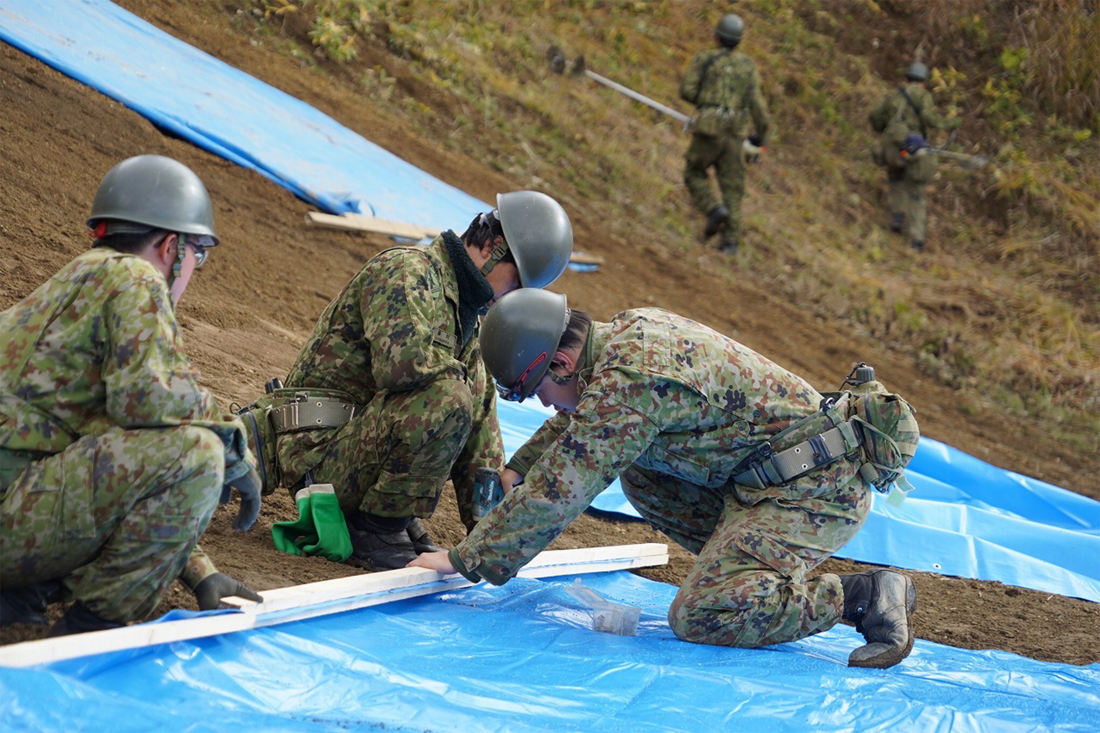 セクション画像