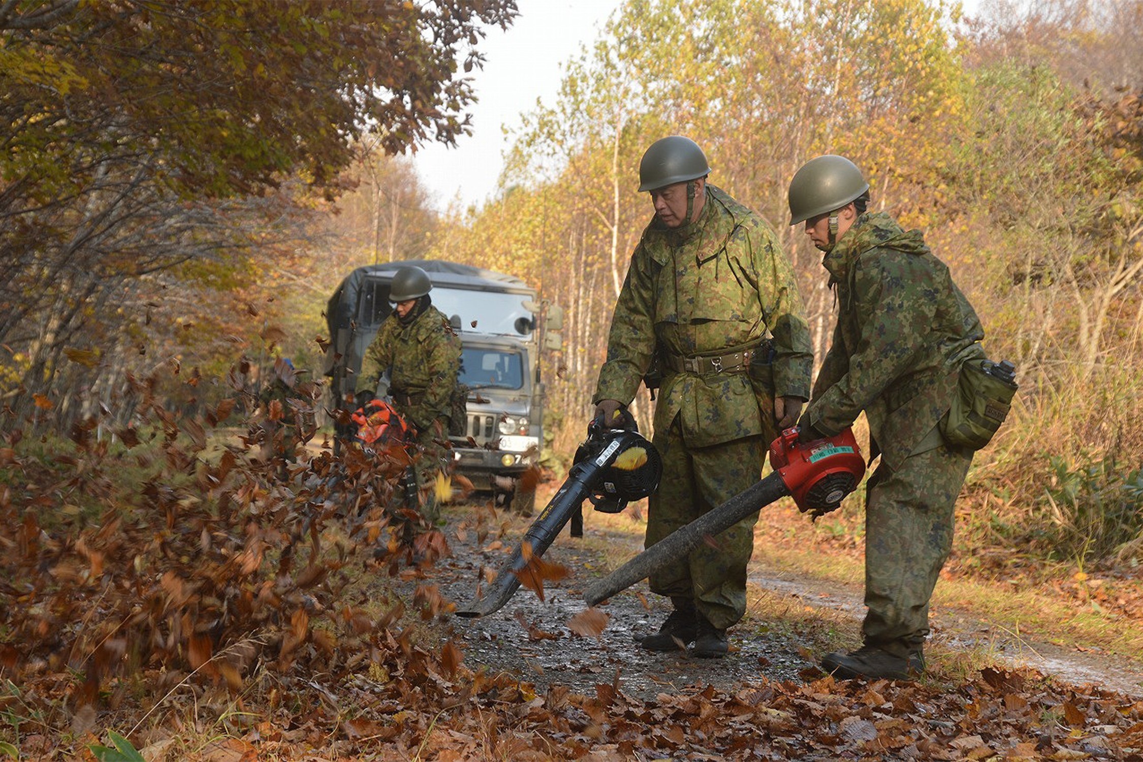 セクション画像