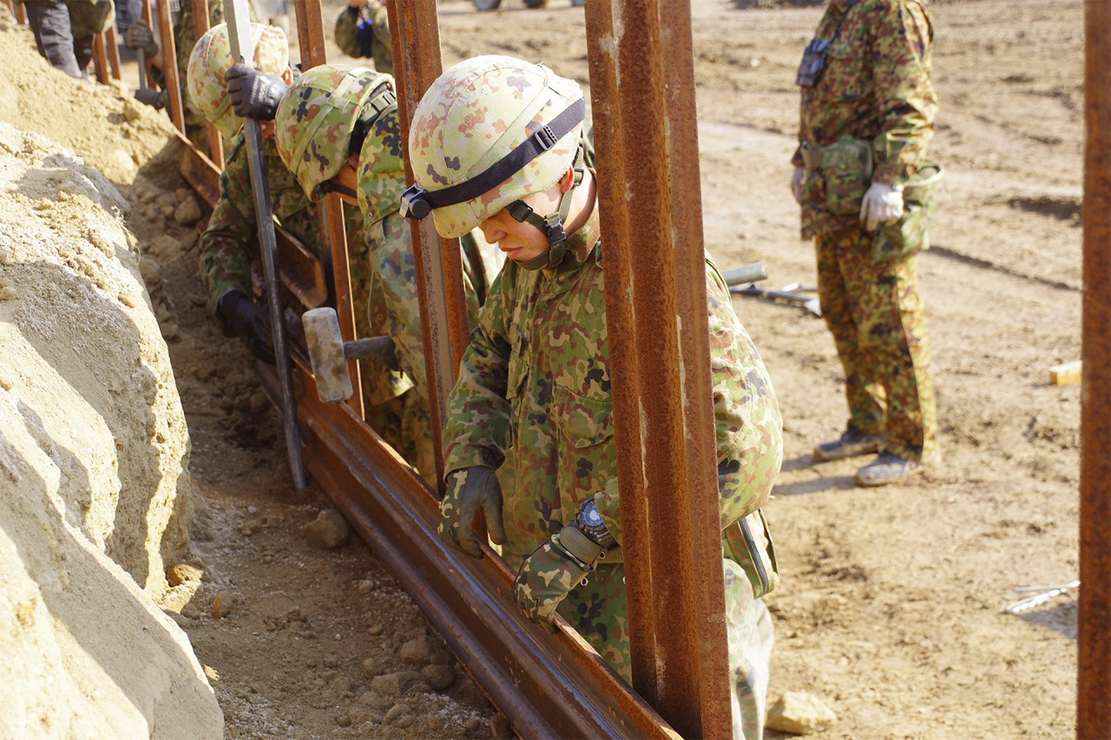 セクション画像