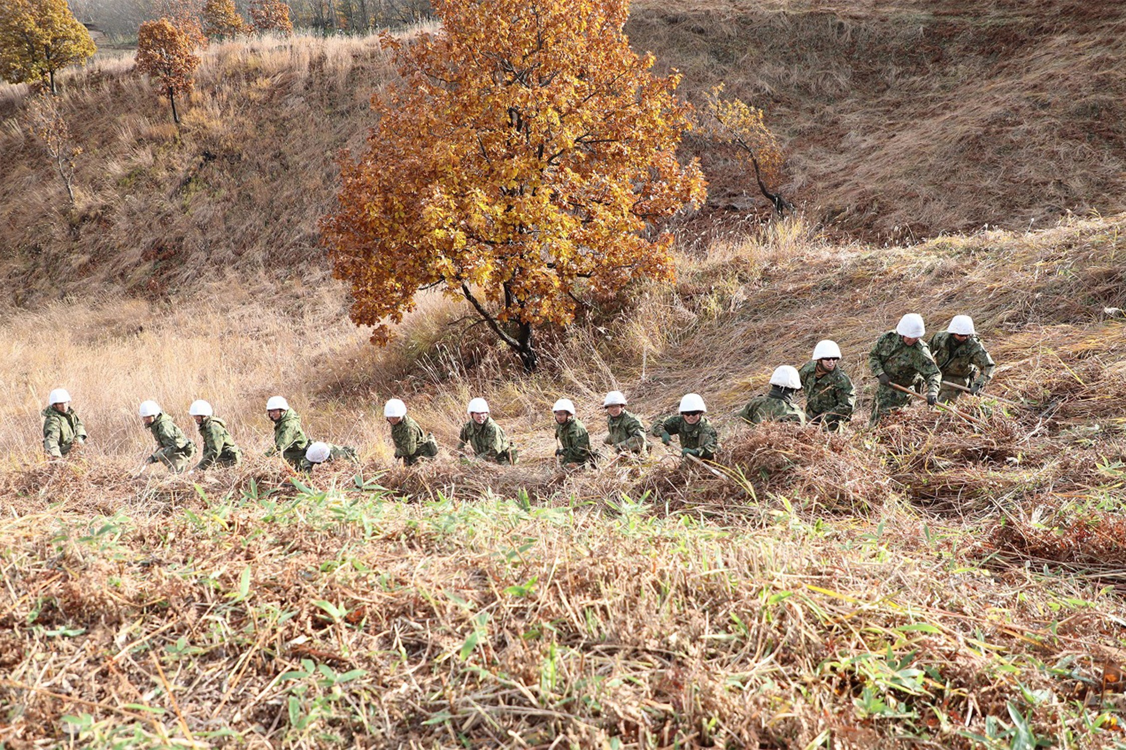 セクション画像