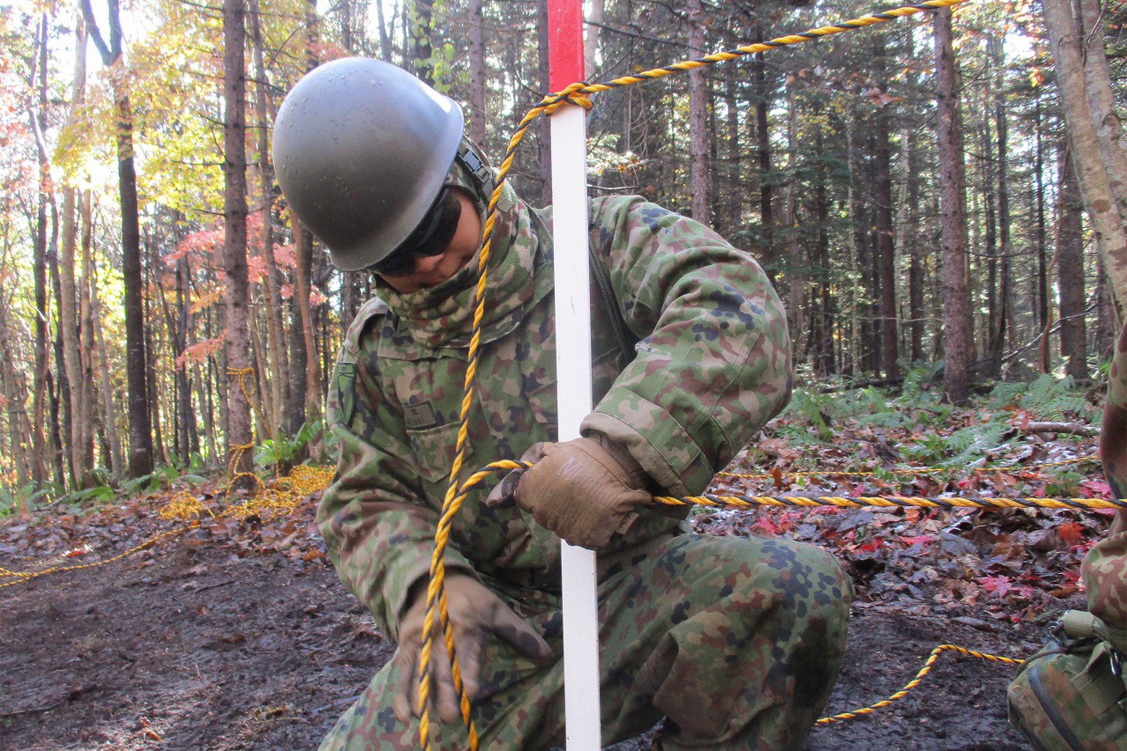 セクション画像