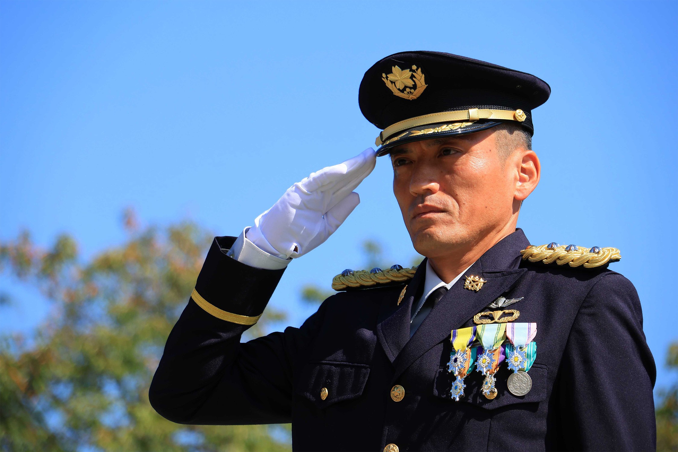 セクション画像