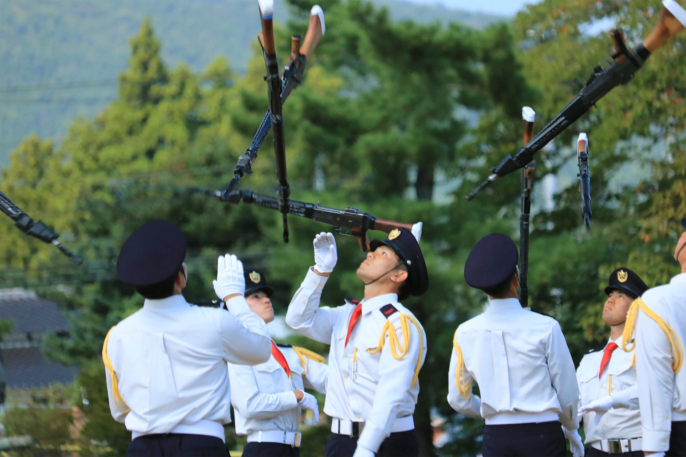 セクション画像