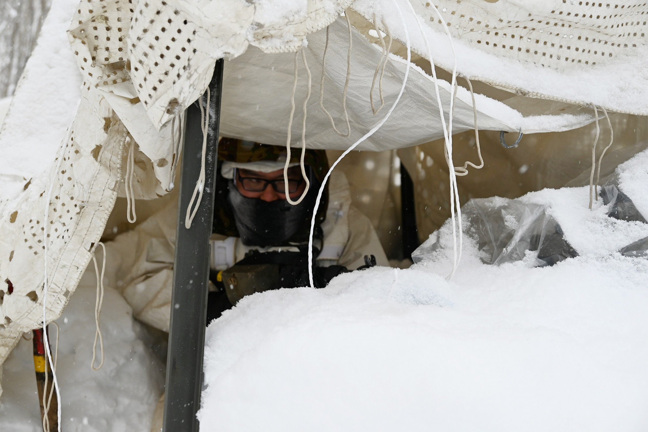 セクション画像