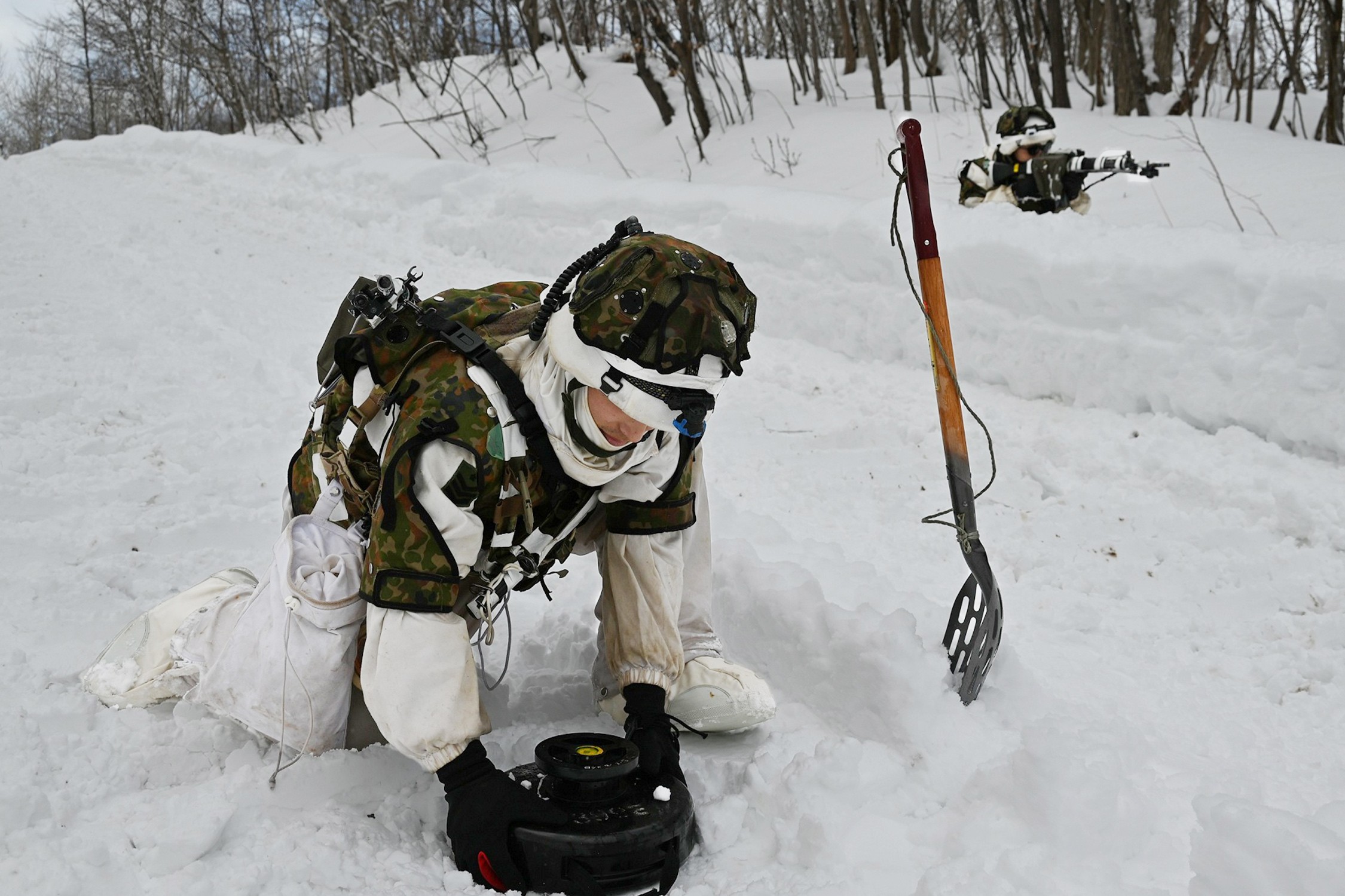 セクション画像