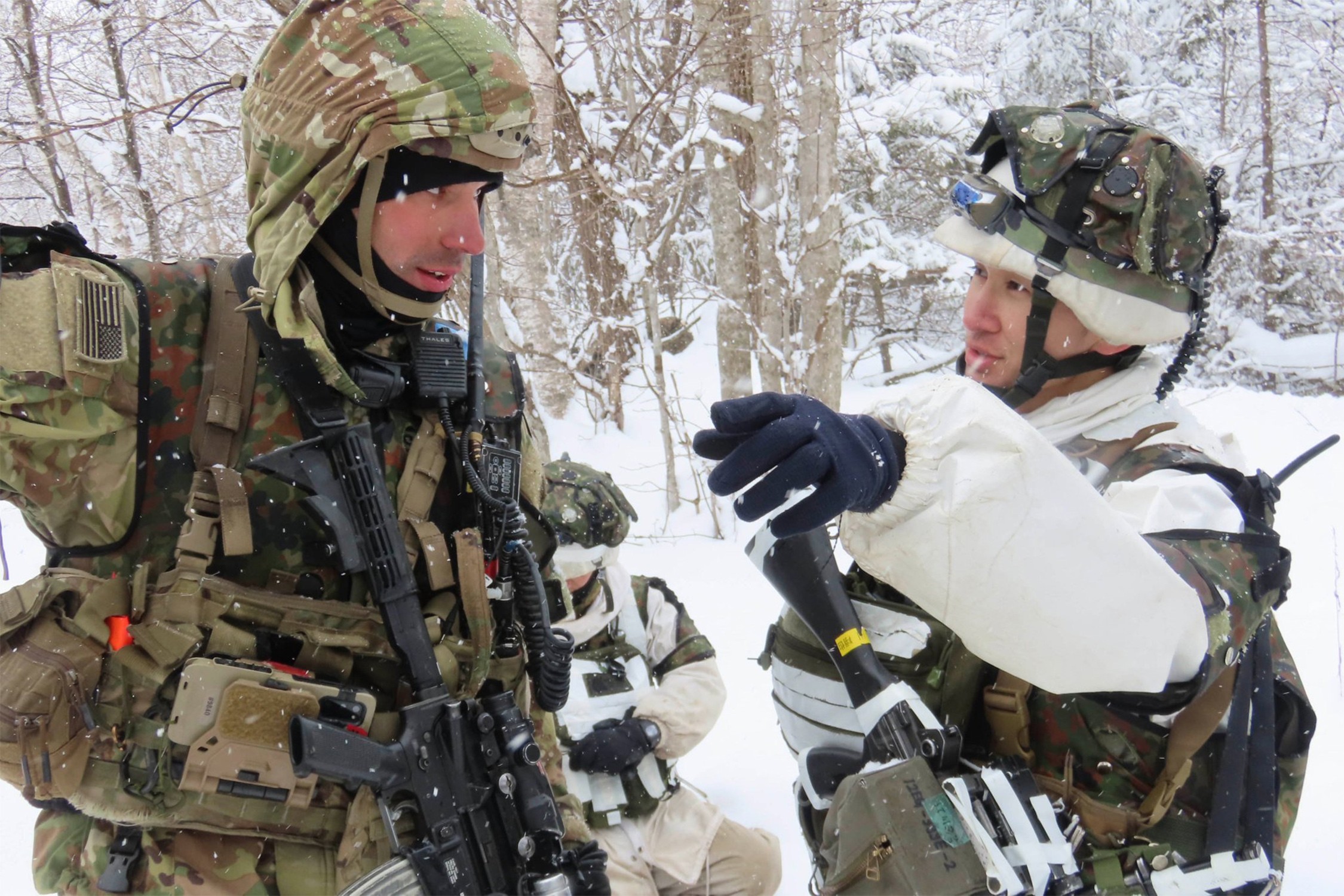 セクション画像