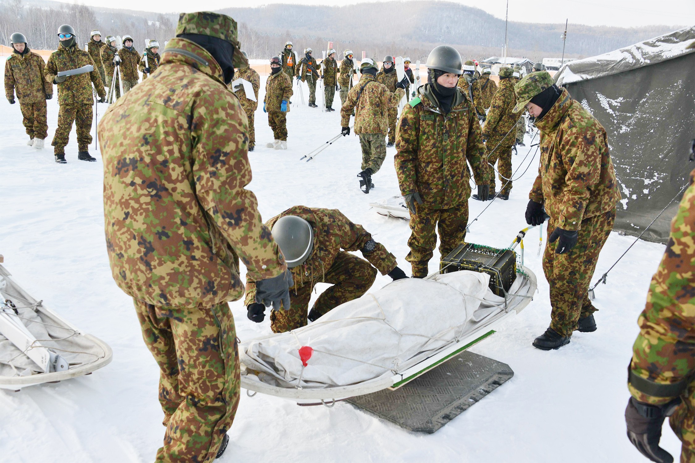 セクション画像