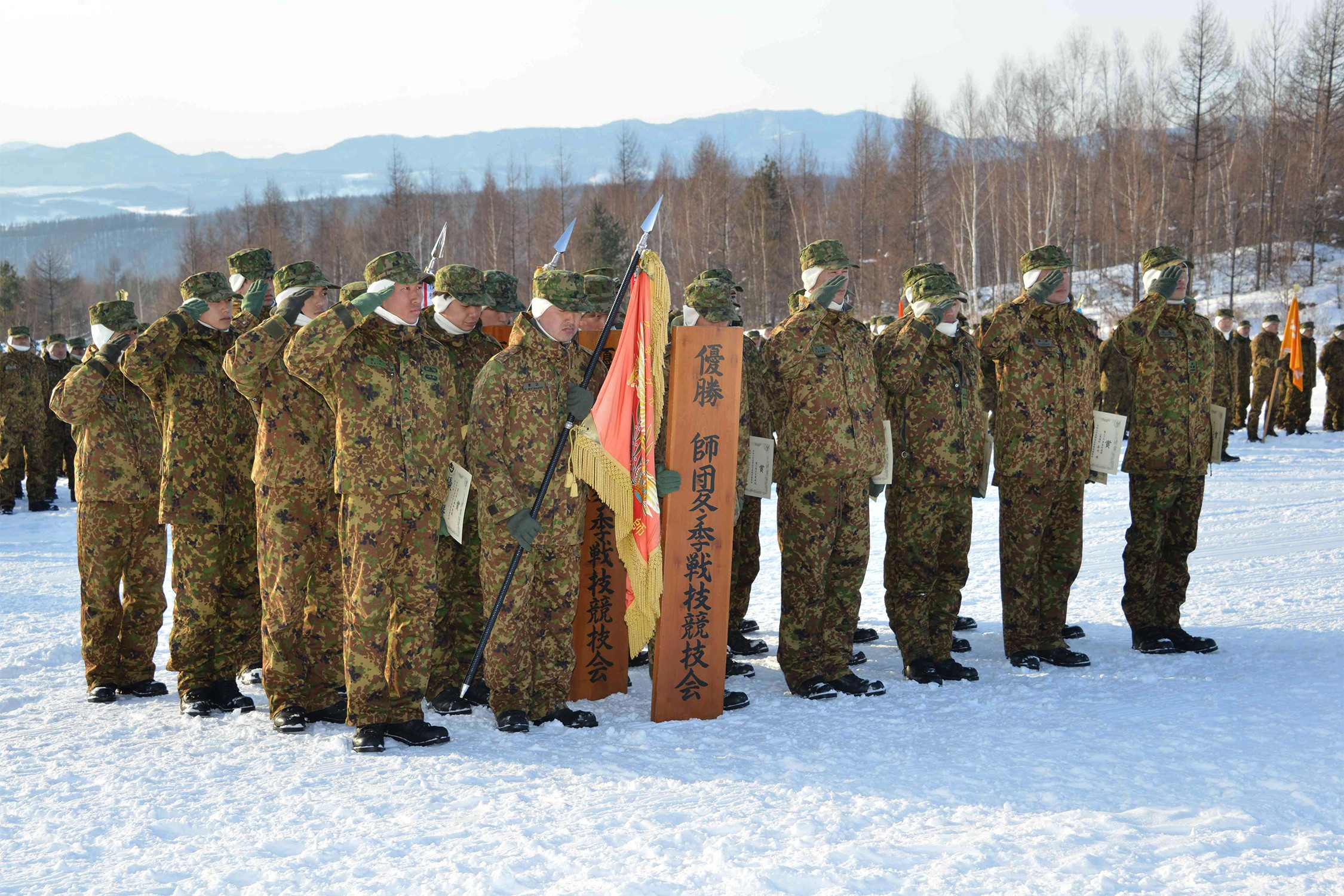 セクション画像