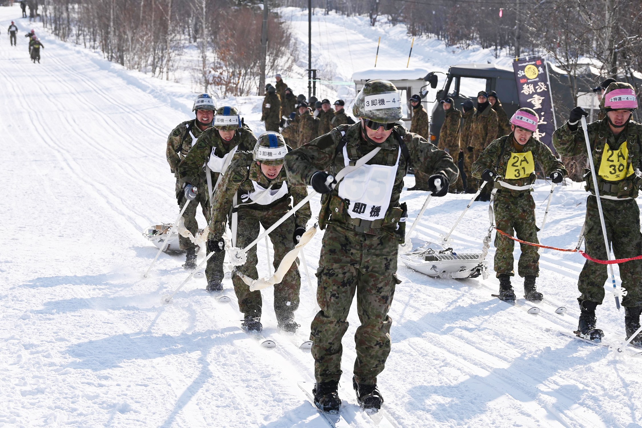 セクション画像