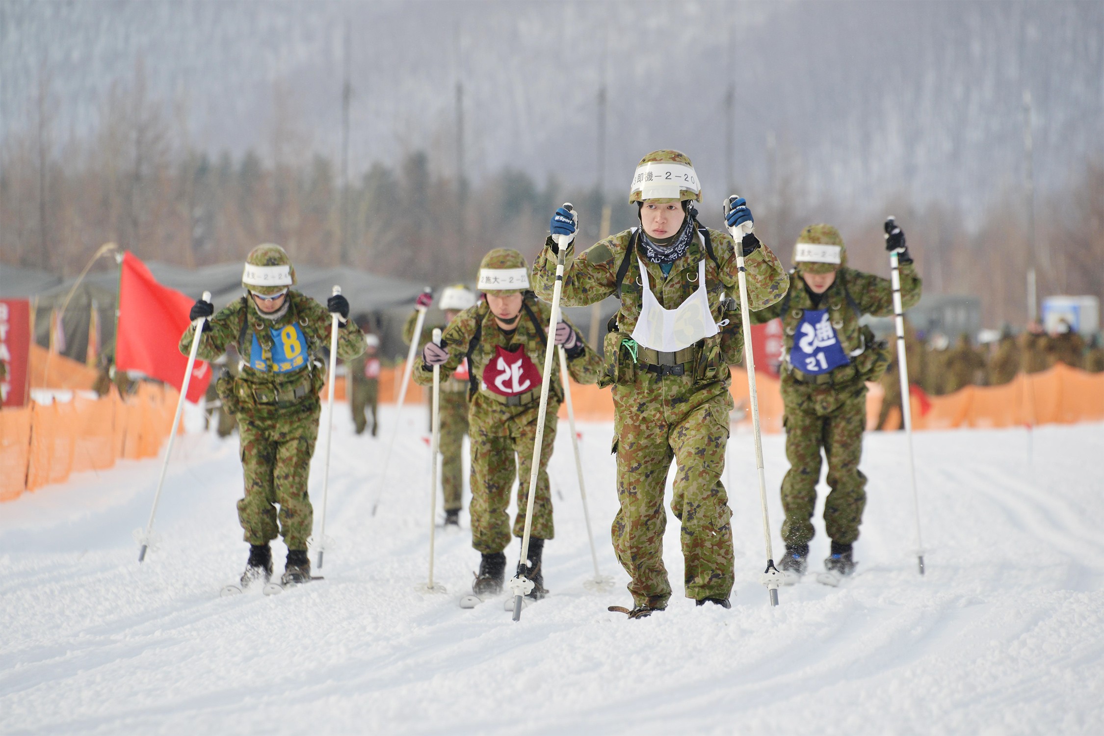 セクション画像