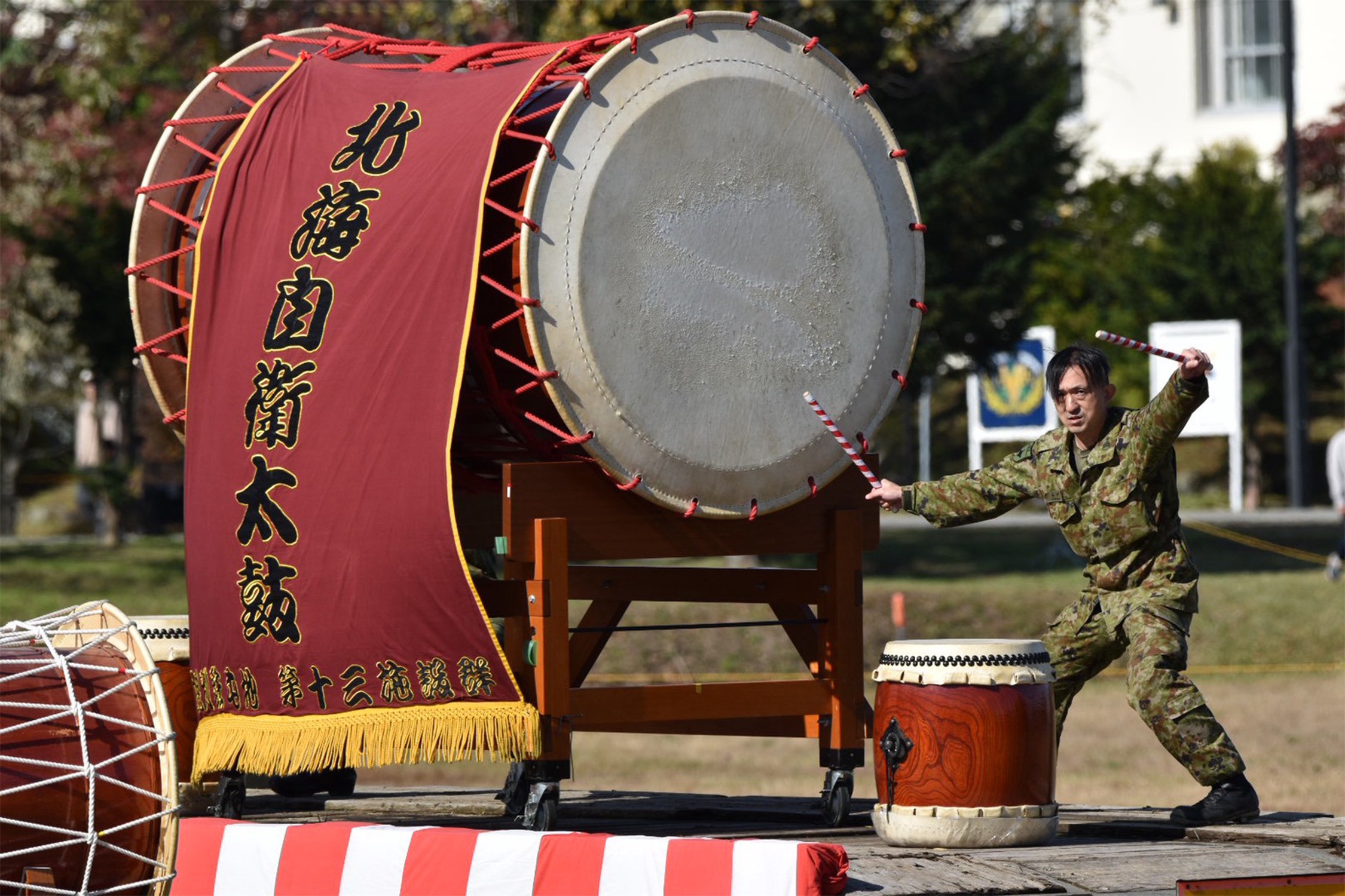 セクション画像