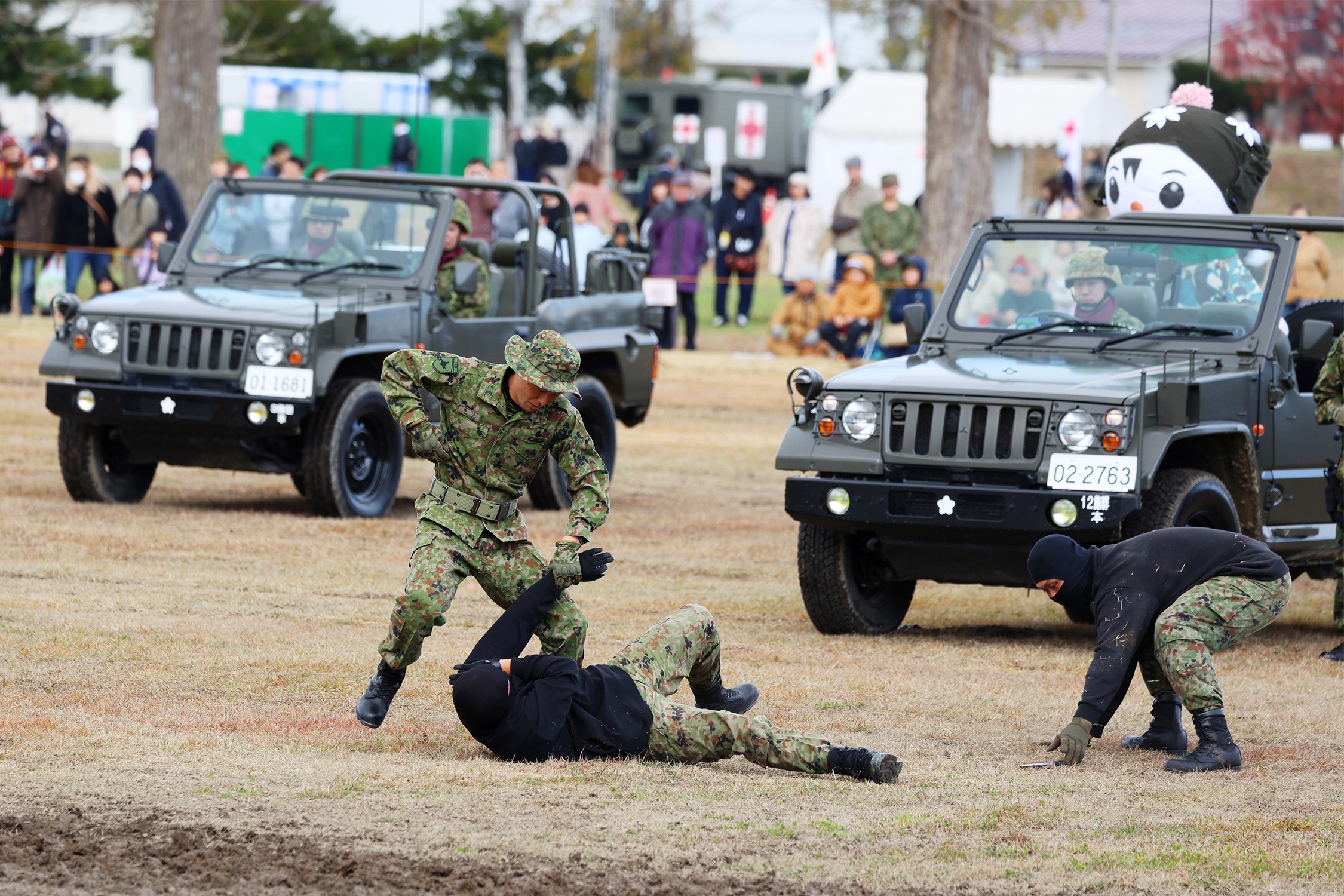 セクション画像
