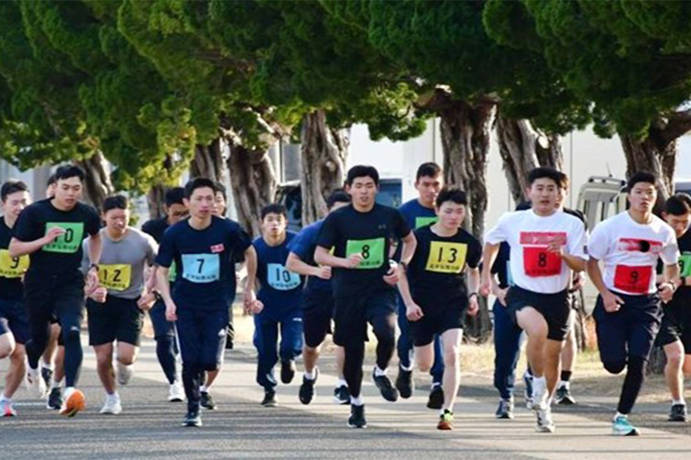 セクション画像