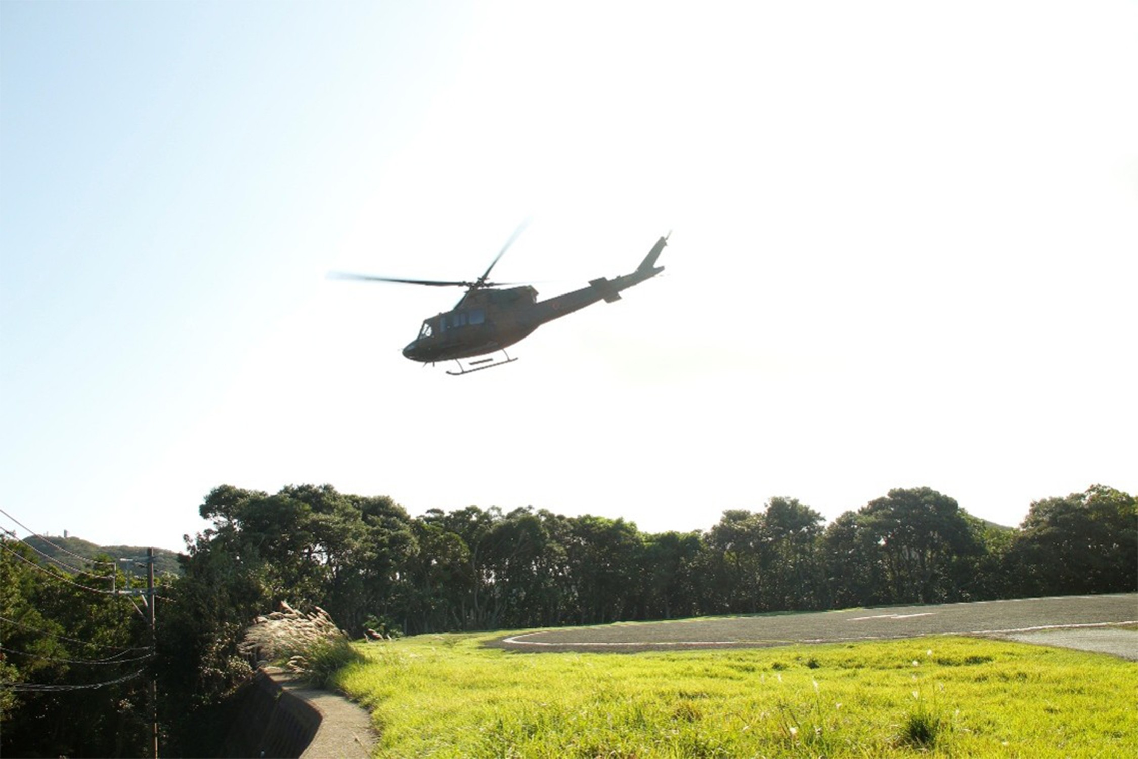 セクション画像