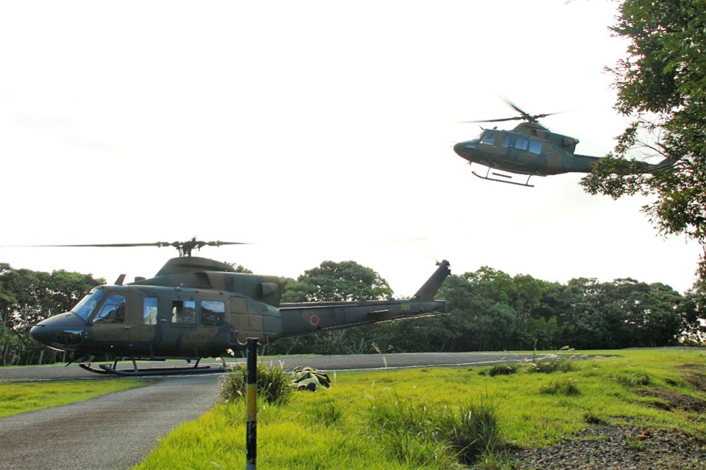 セクション画像