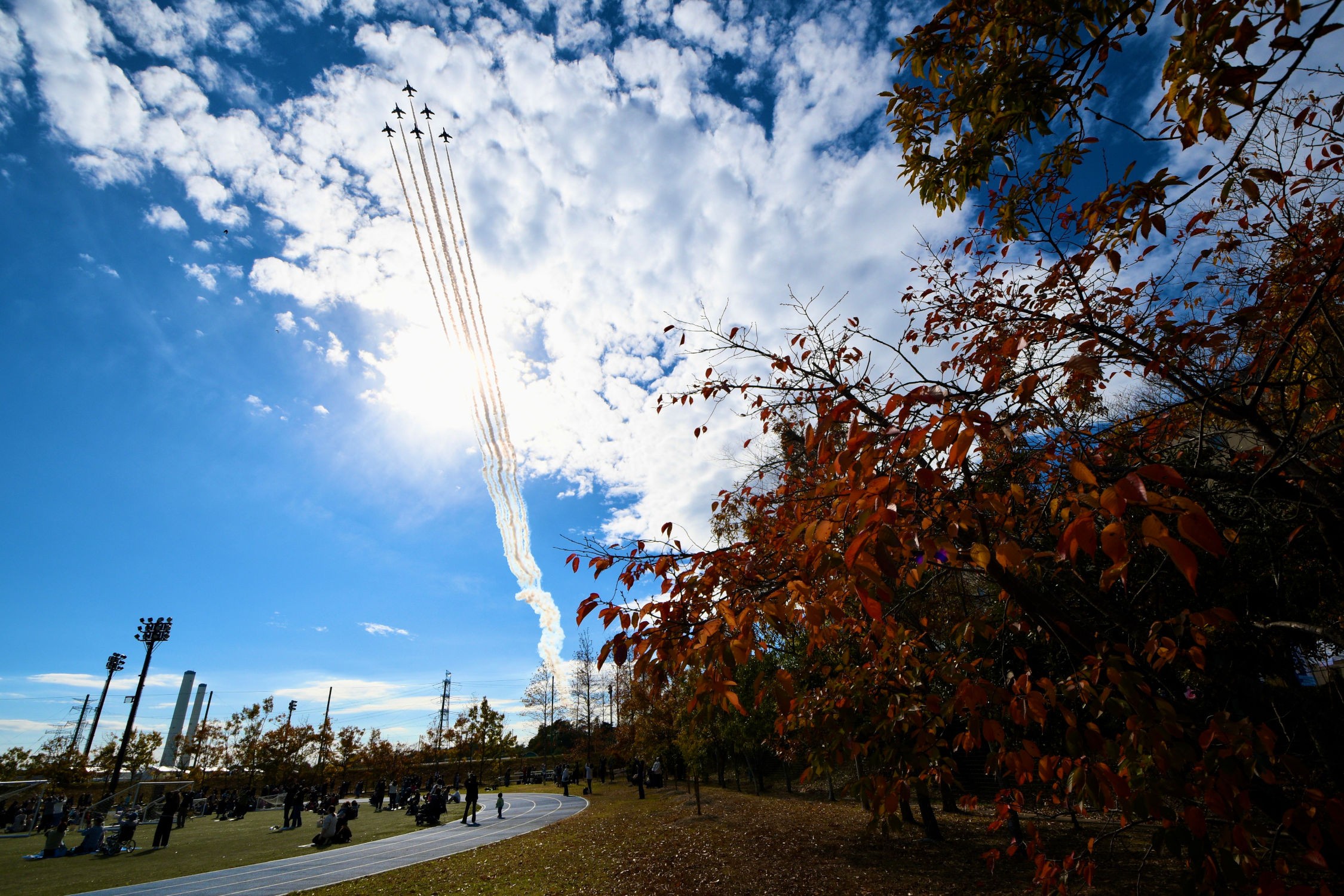 セクション画像