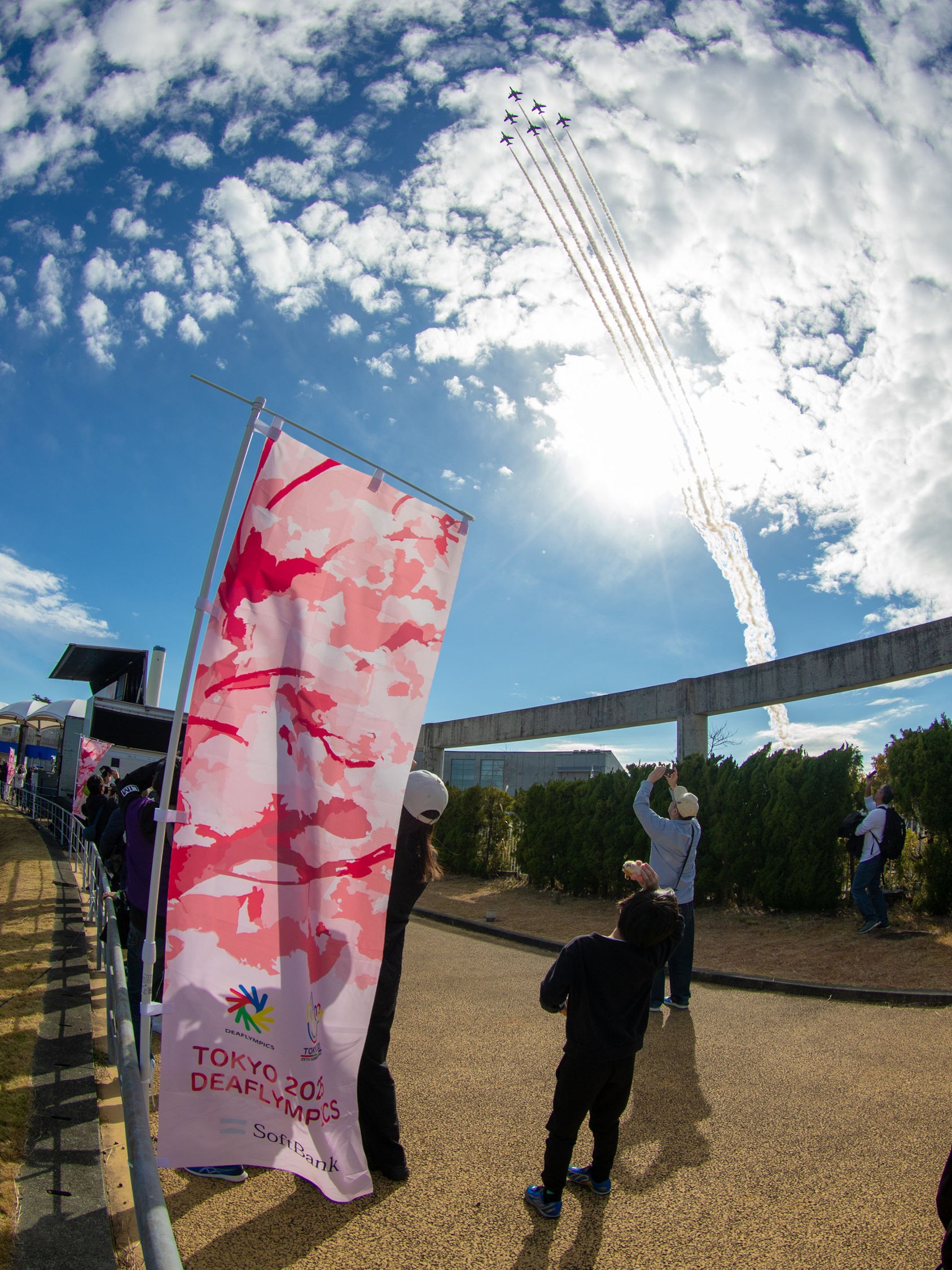 セクション画像