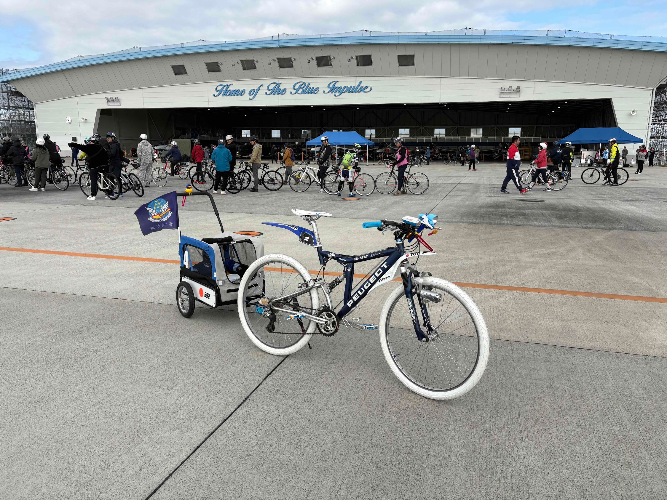 セクション画像