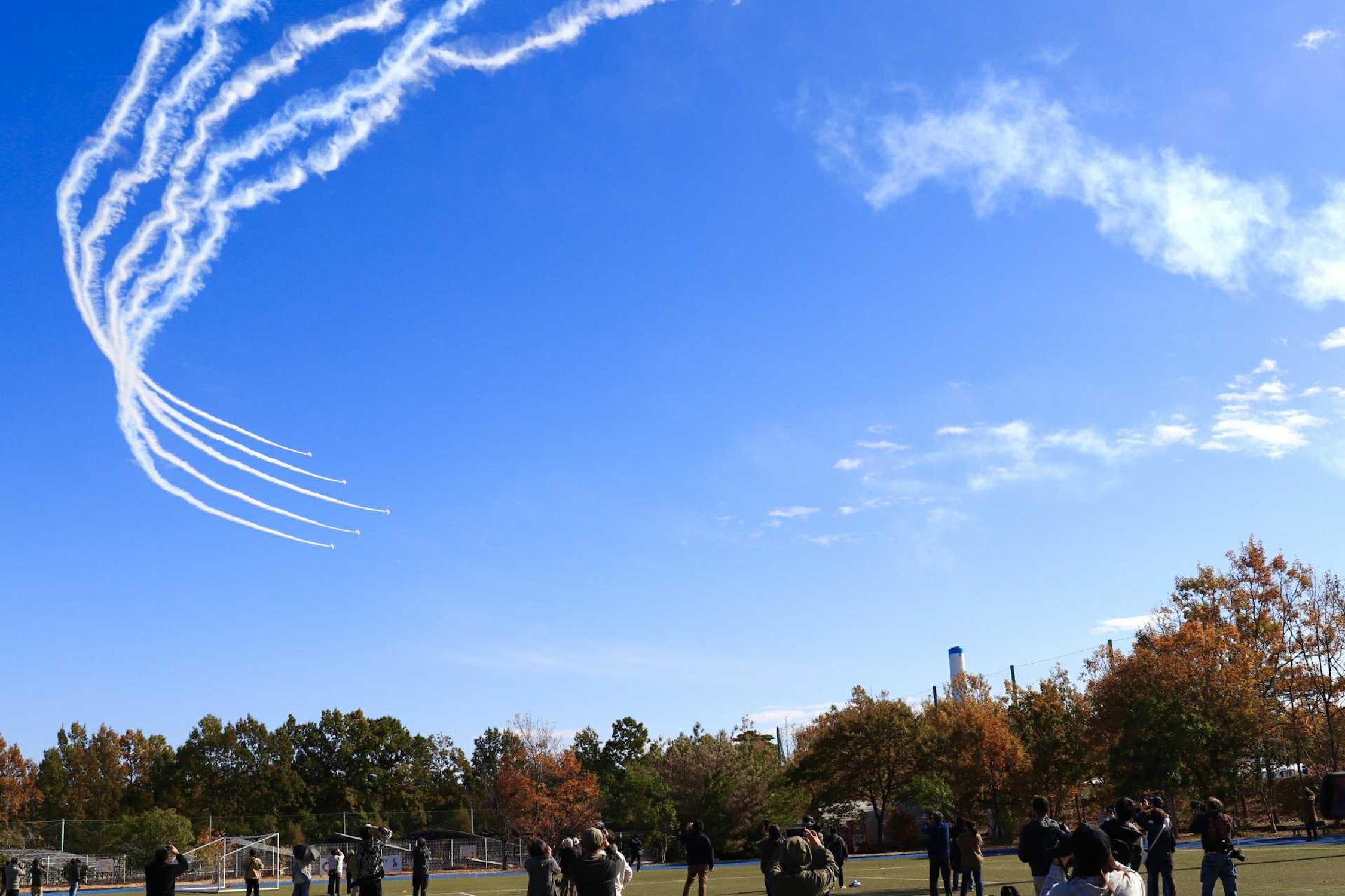 セクション画像