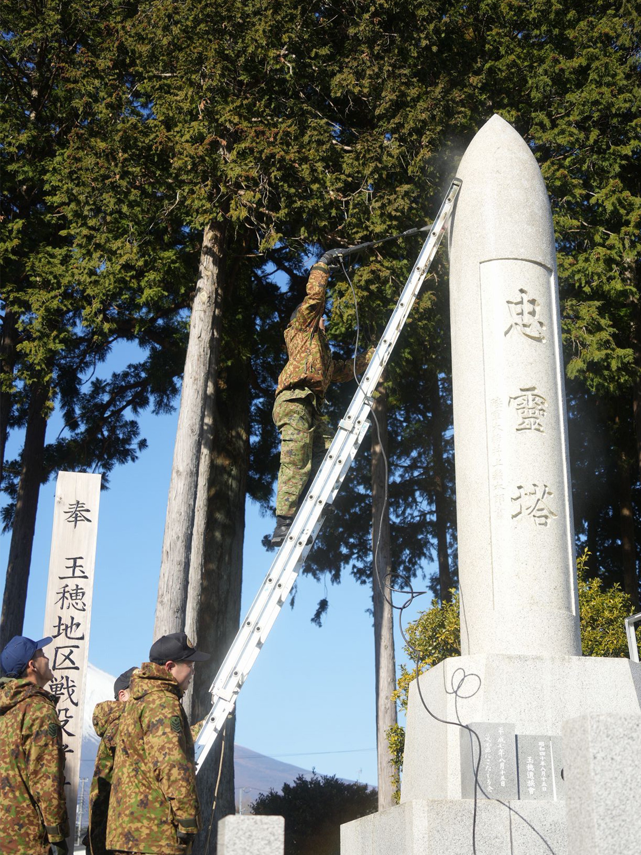 セクション画像