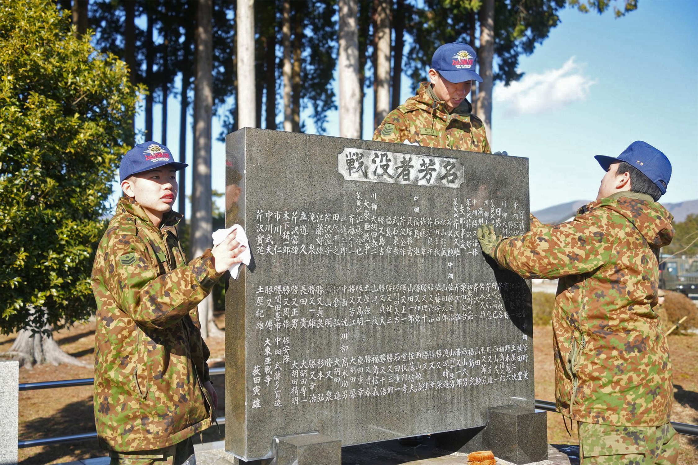 セクション画像