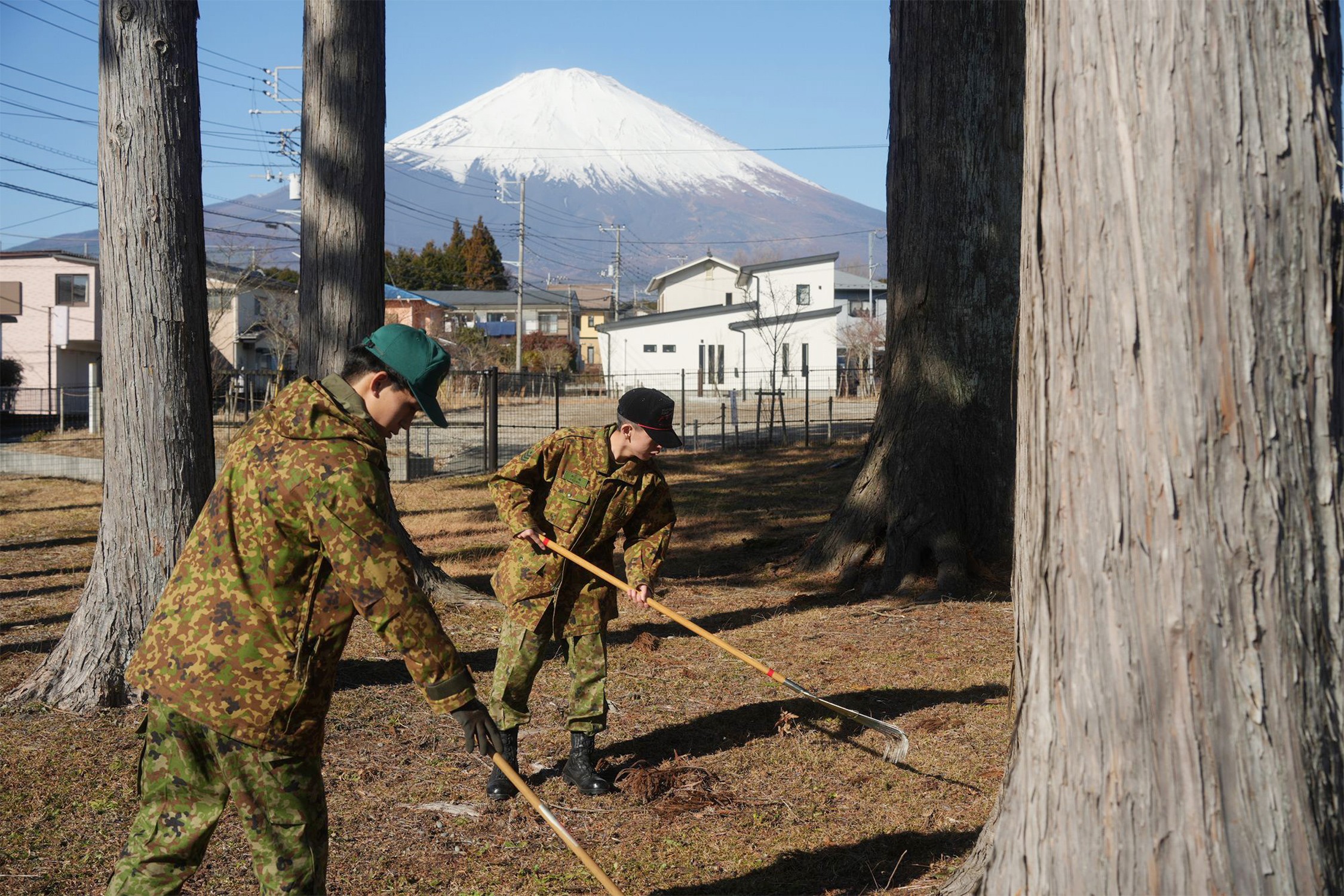 セクション画像
