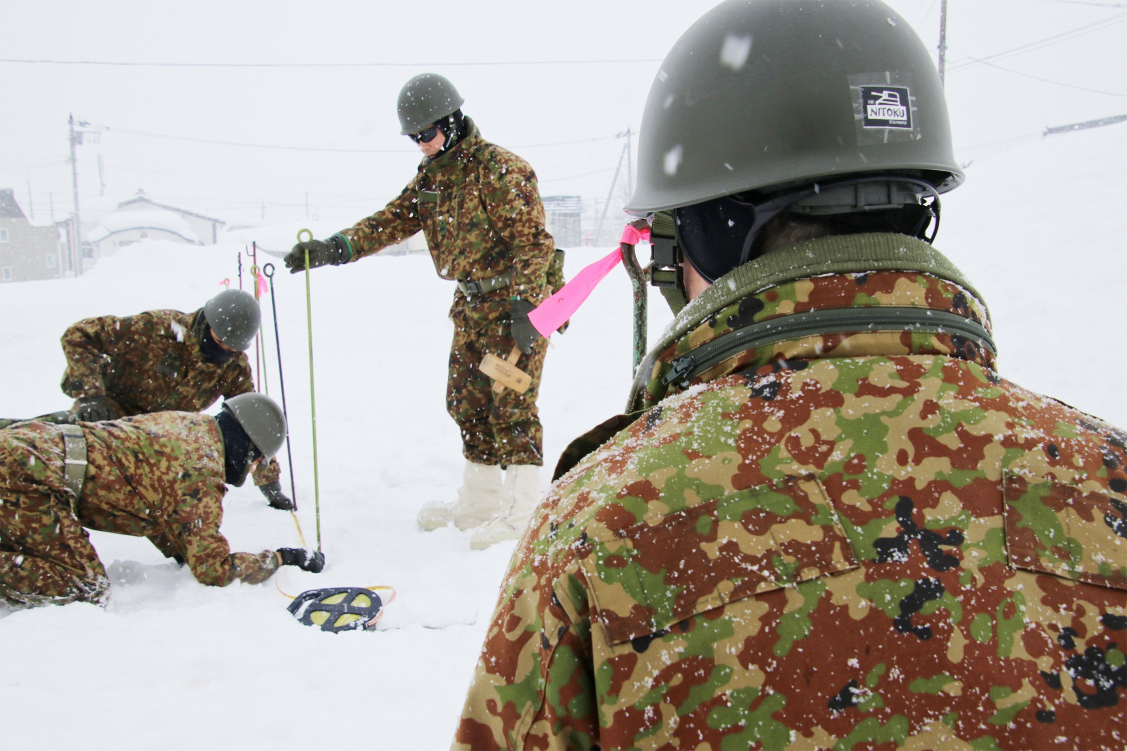 セクション画像