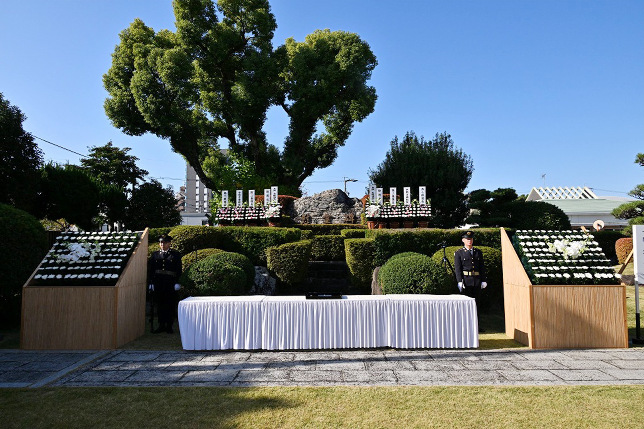 セクション画像