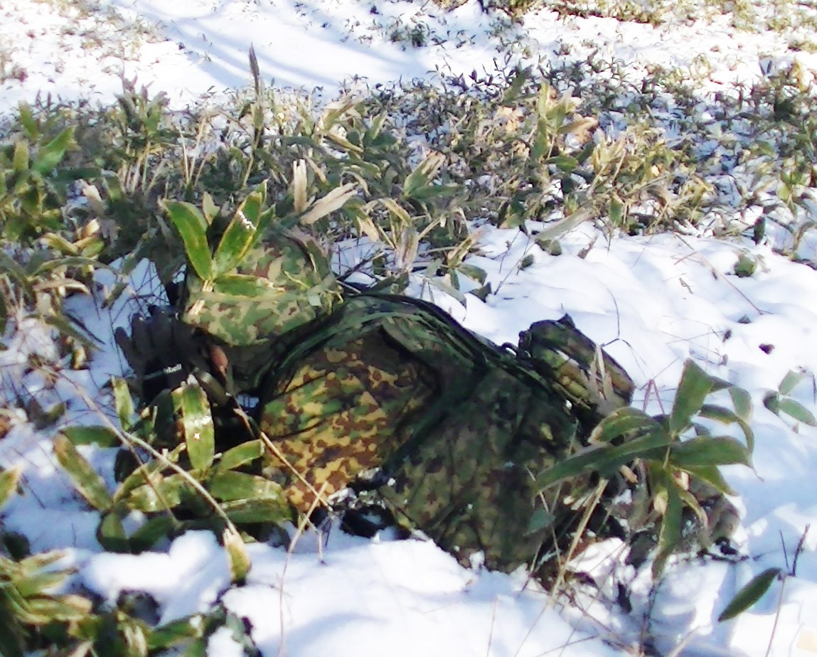 セクション画像