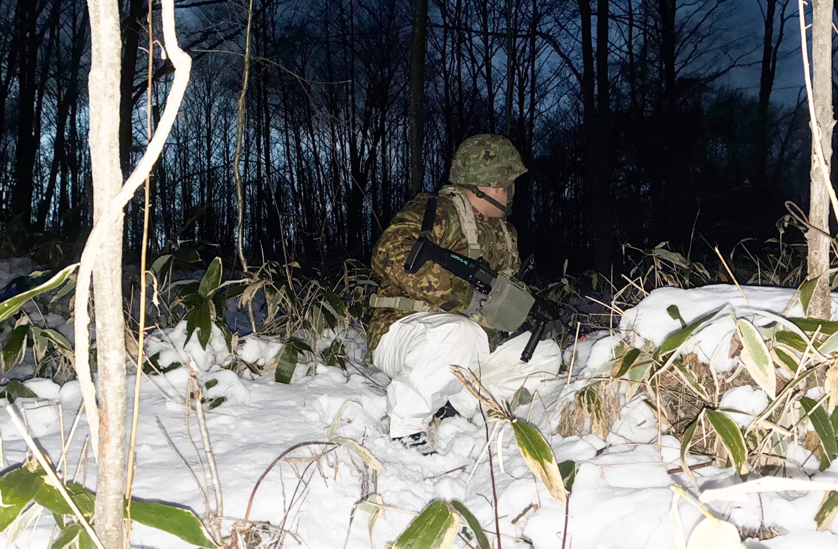 セクション画像