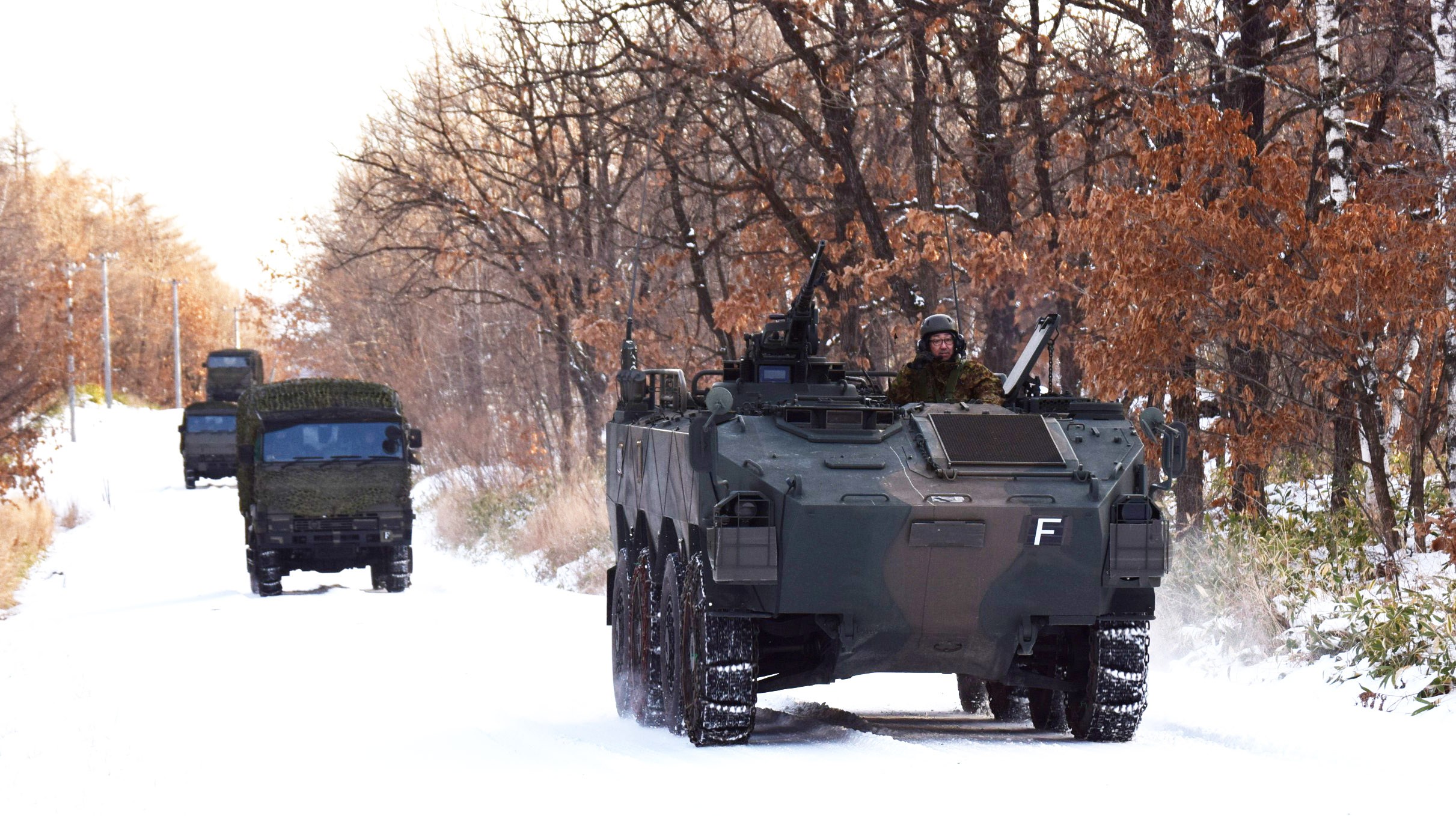 セクション画像