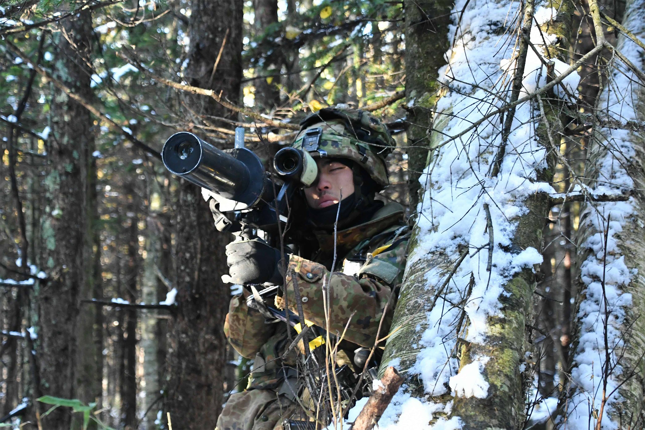 セクション画像