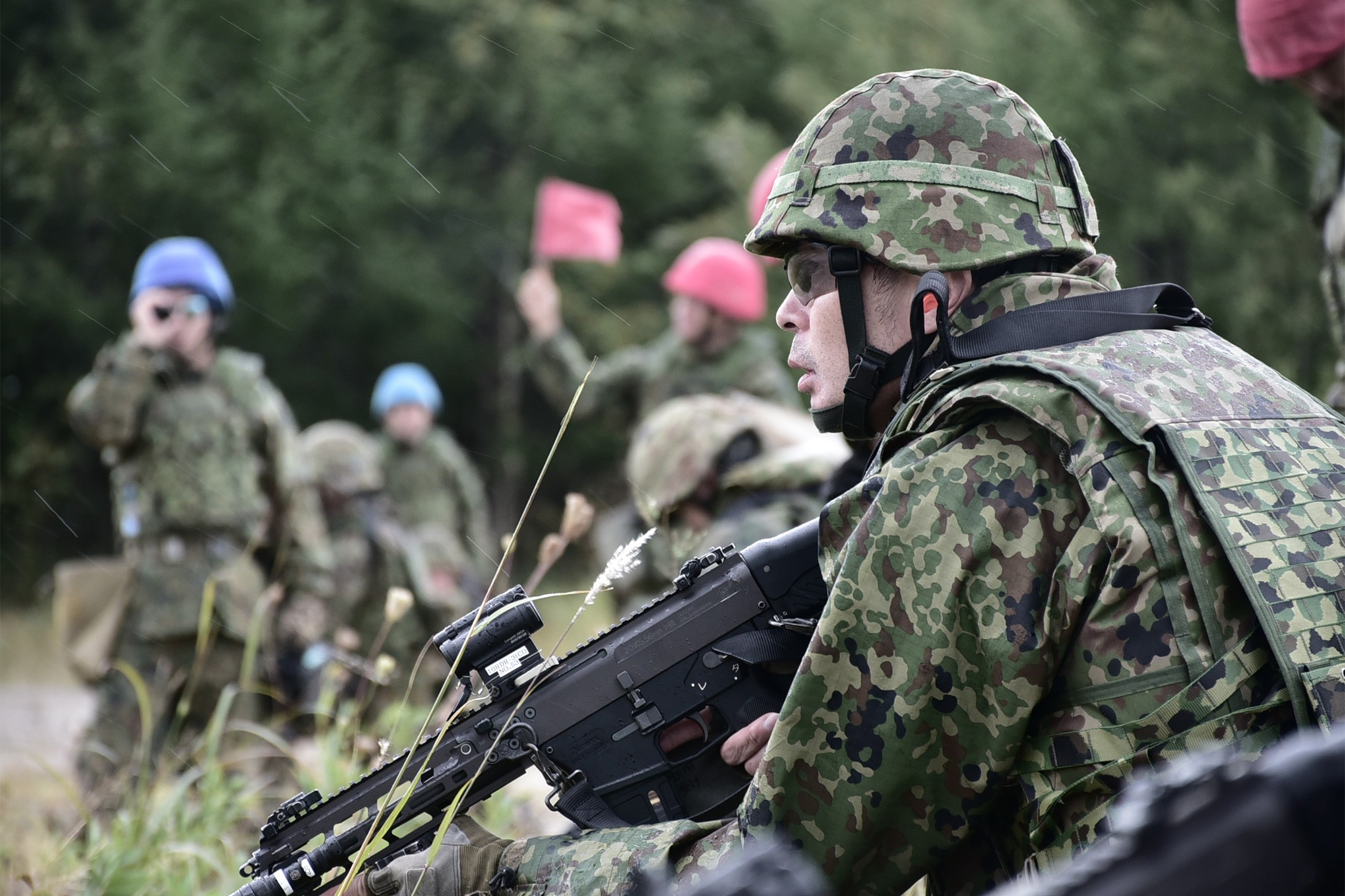 セクション画像