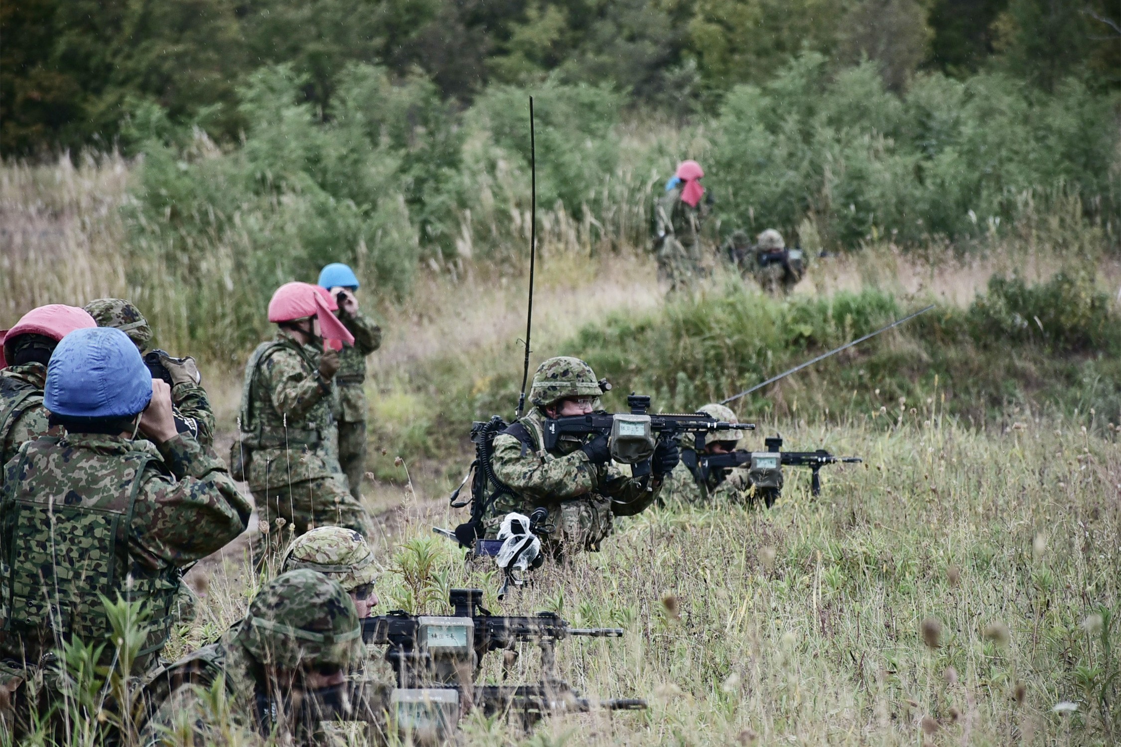 セクション画像