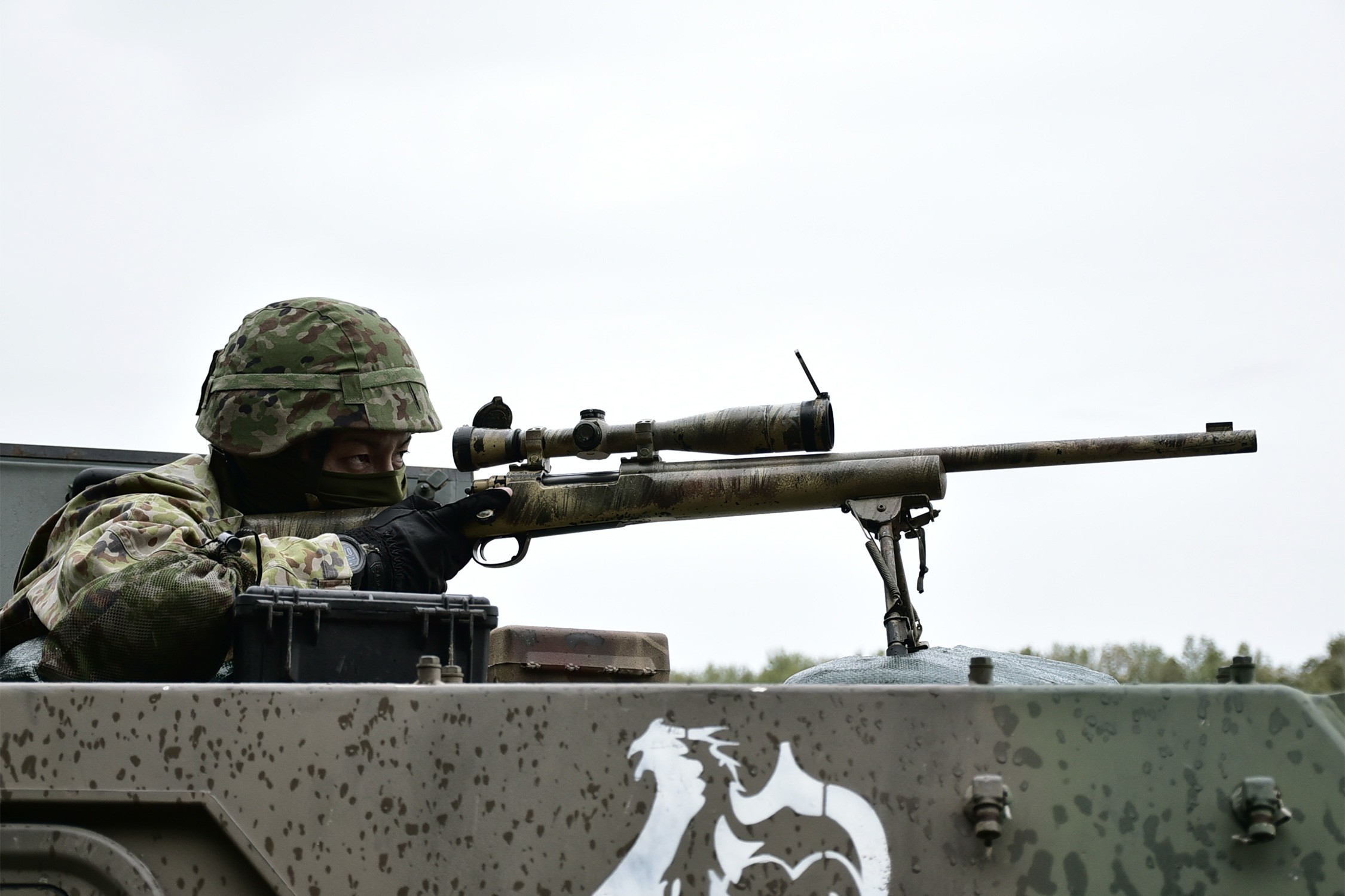 セクション画像