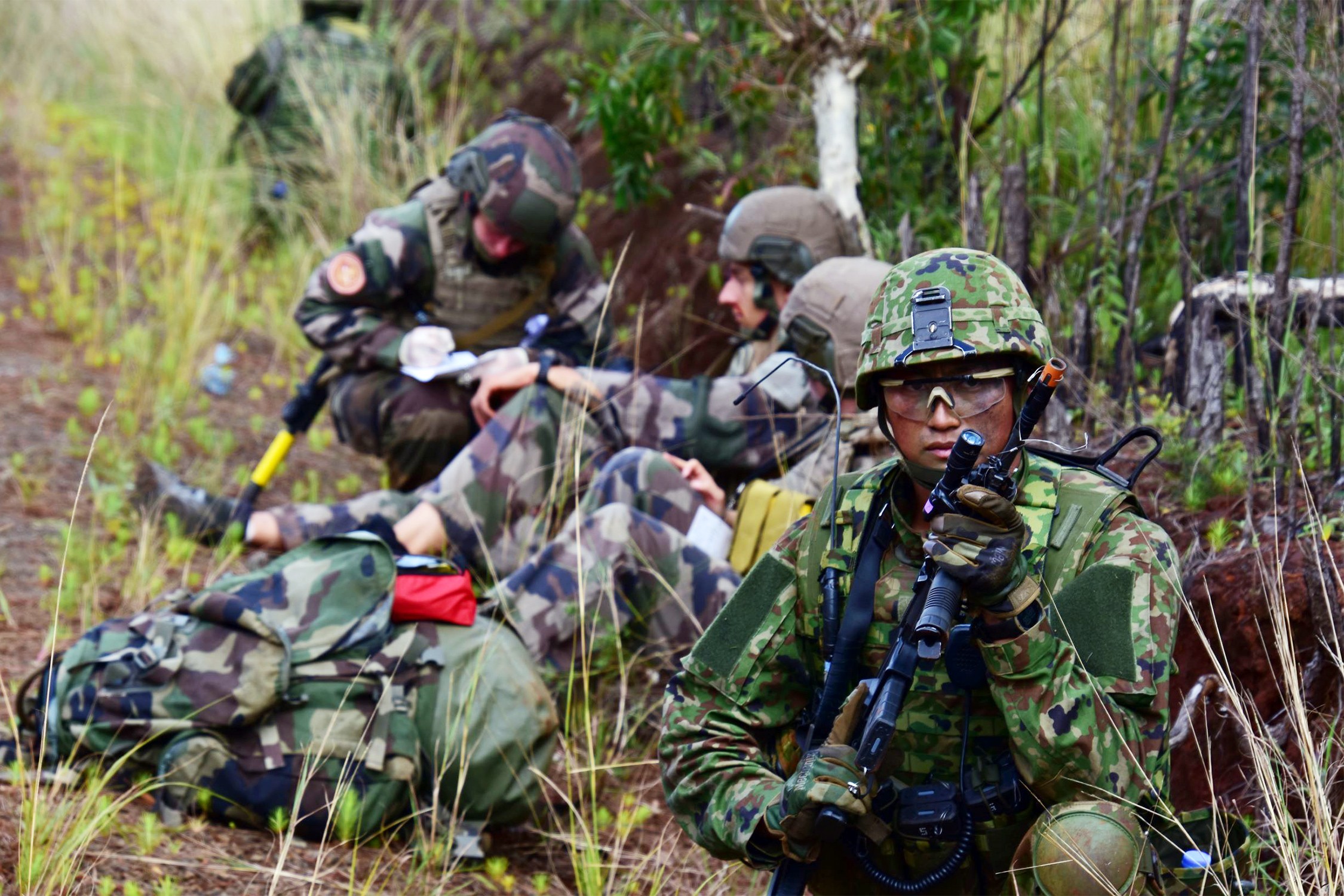 セクション画像