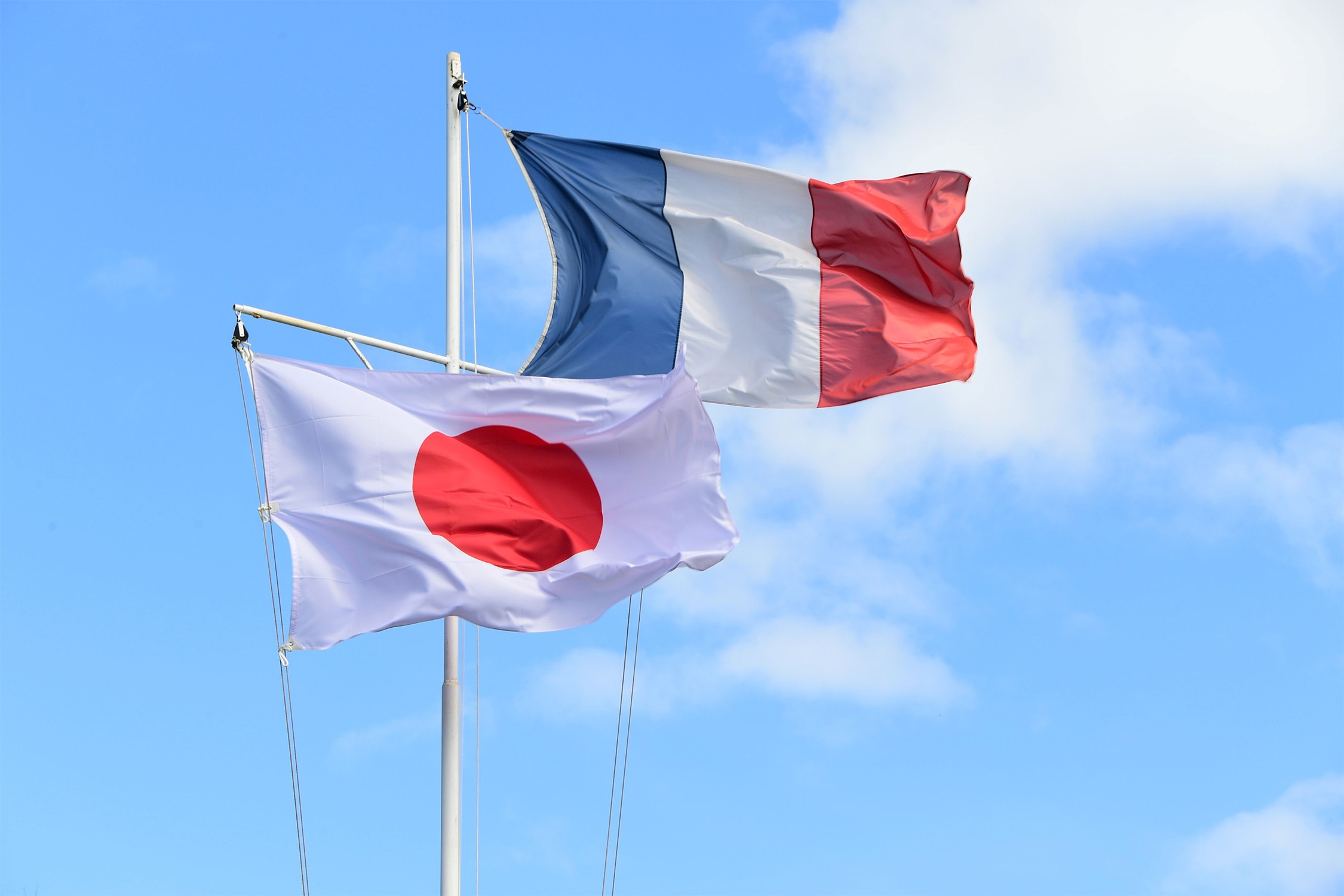 セクション画像