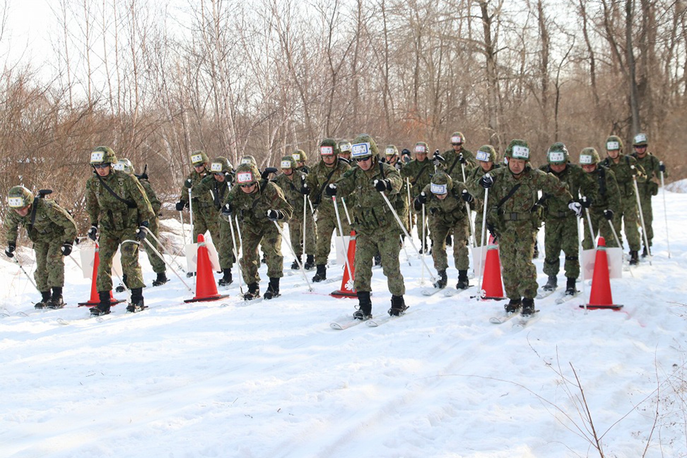 セクション画像