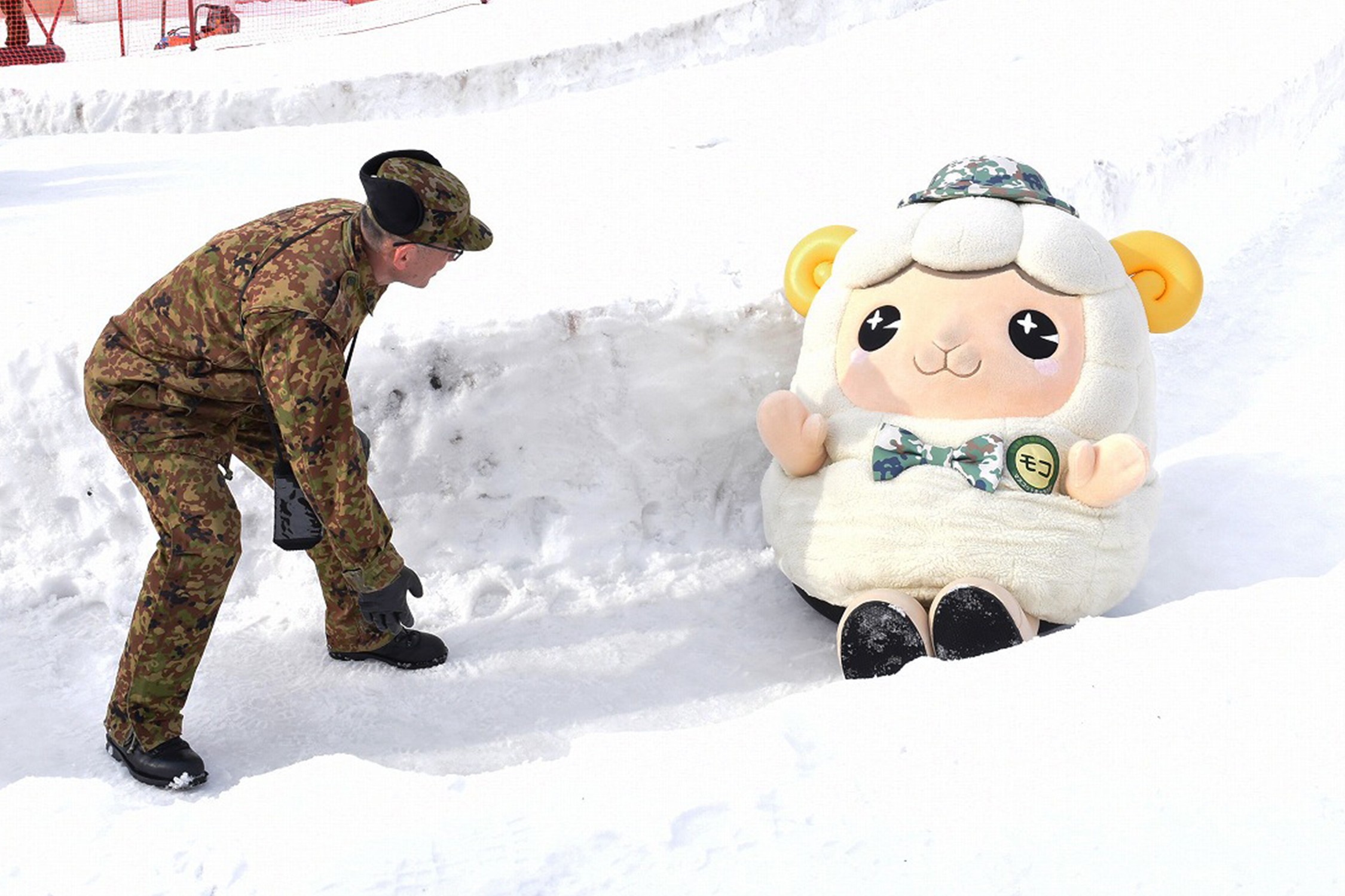 セクション画像