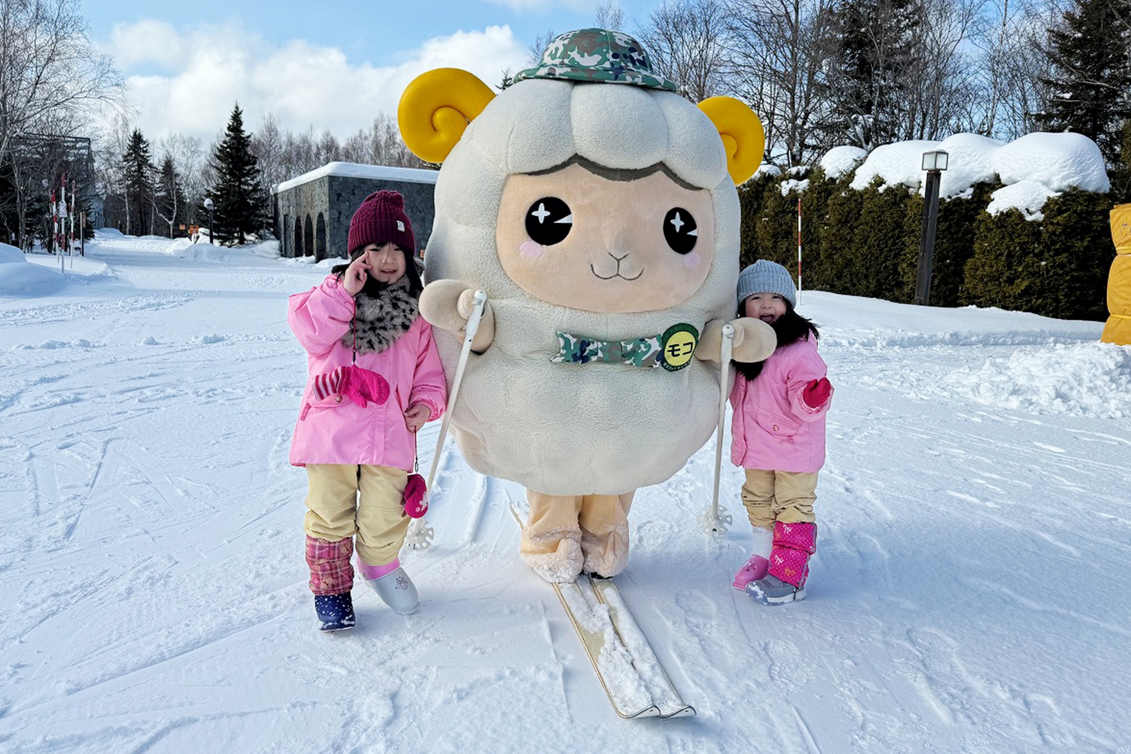 セクション画像