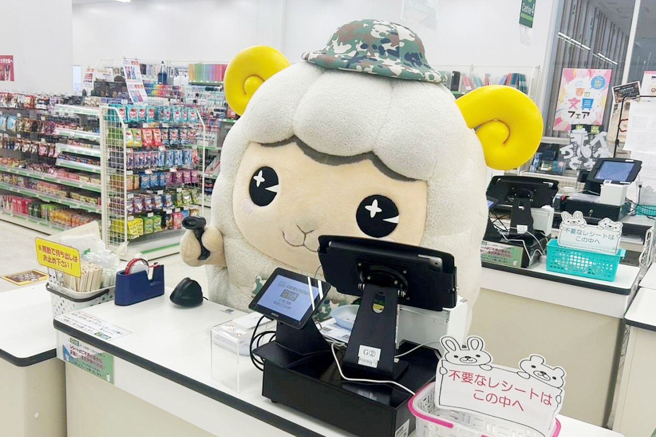 セクション画像