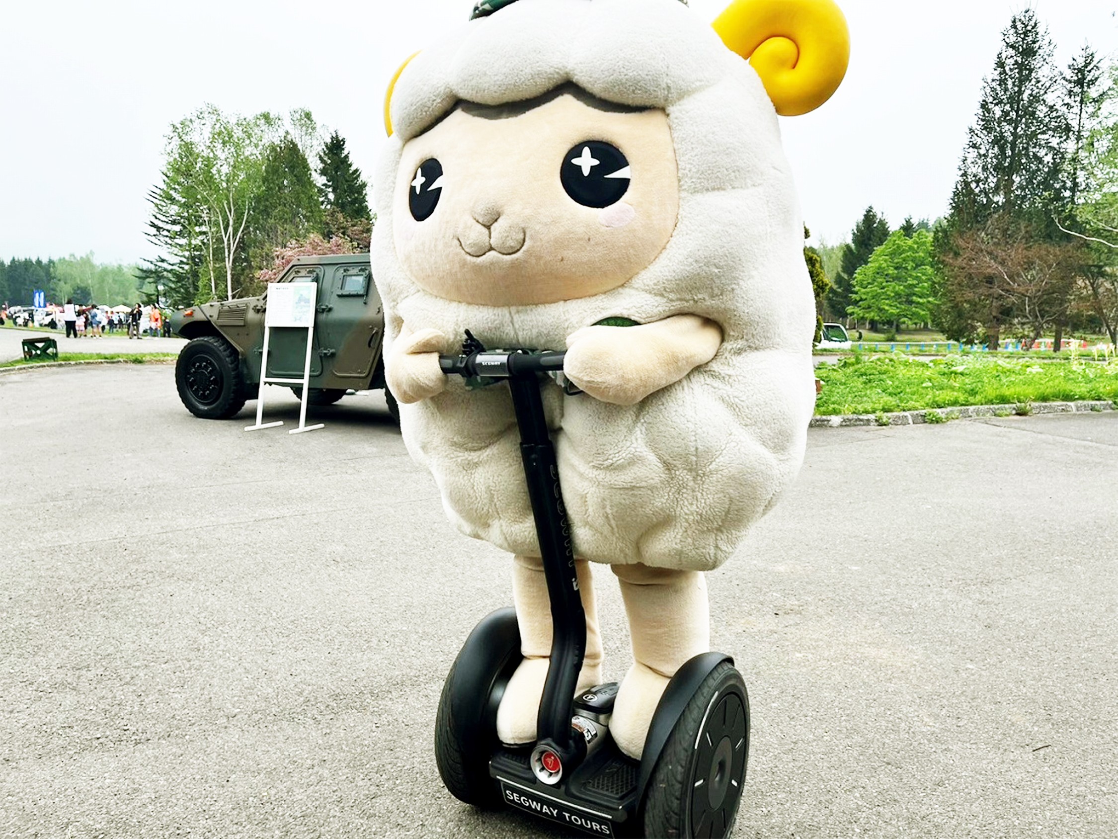 セクション画像