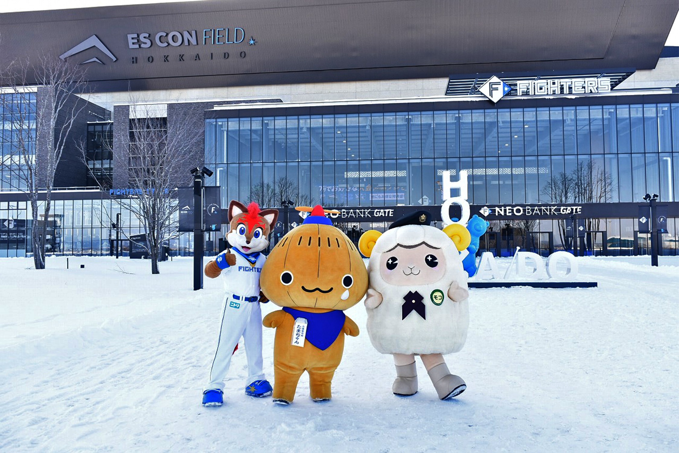 セクション画像