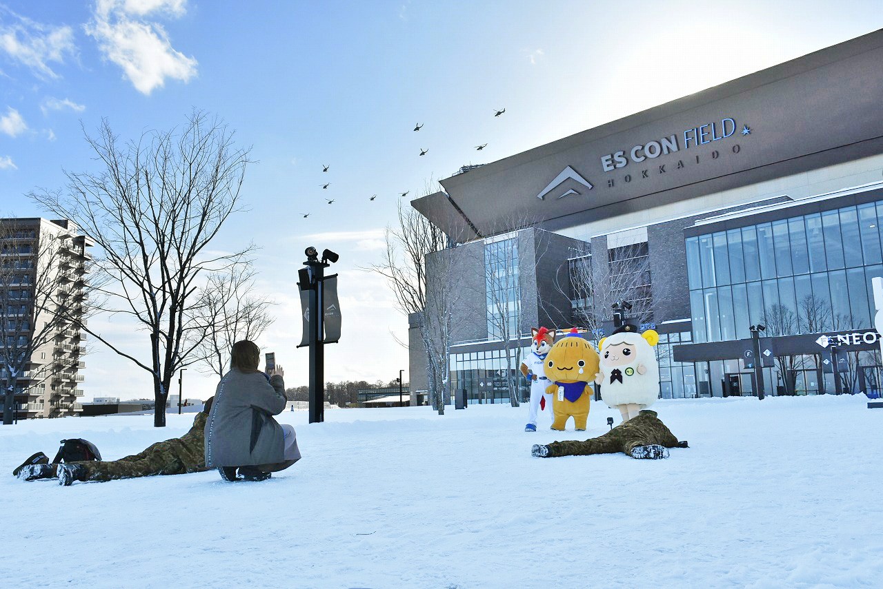 セクション画像