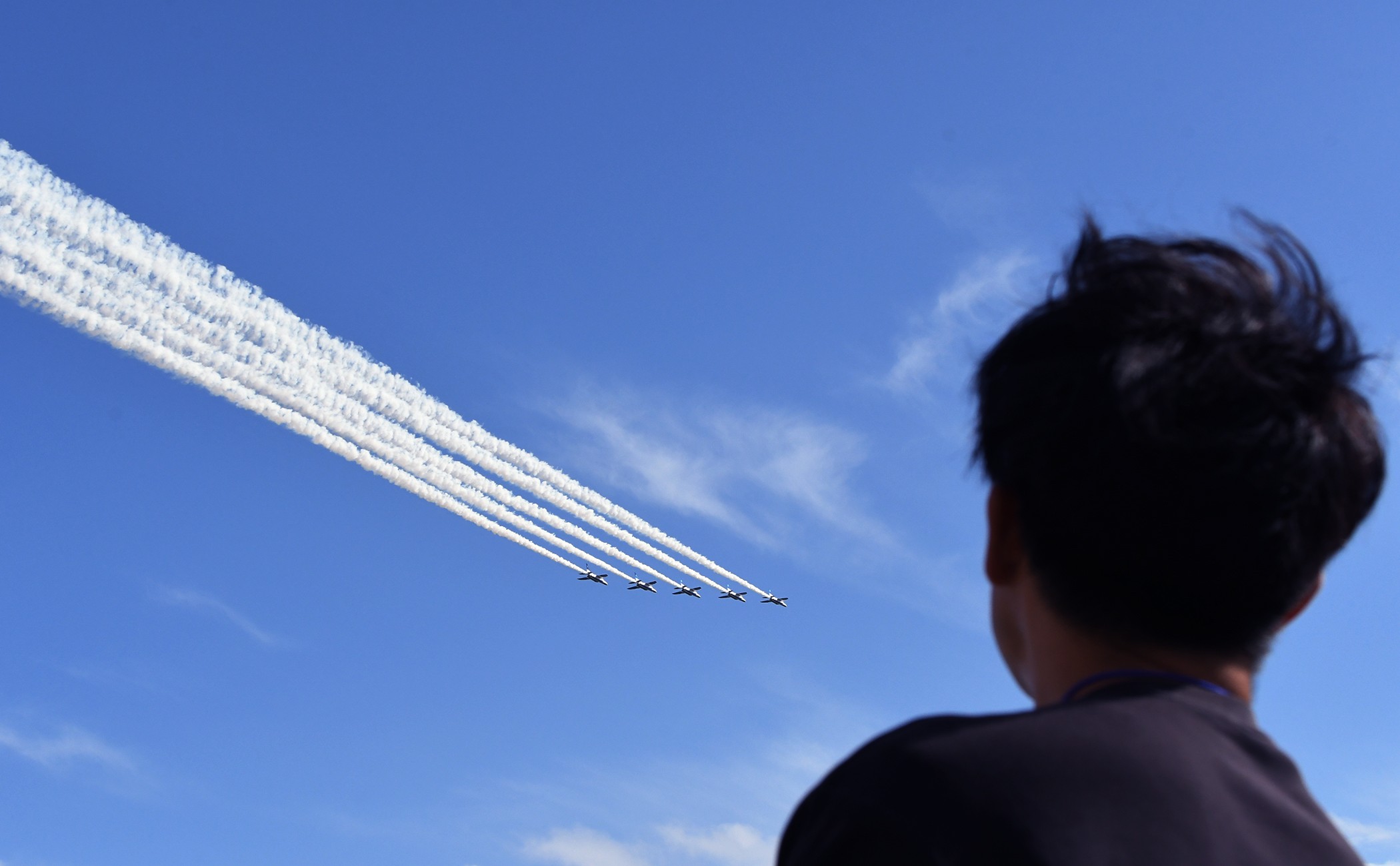 セクション画像